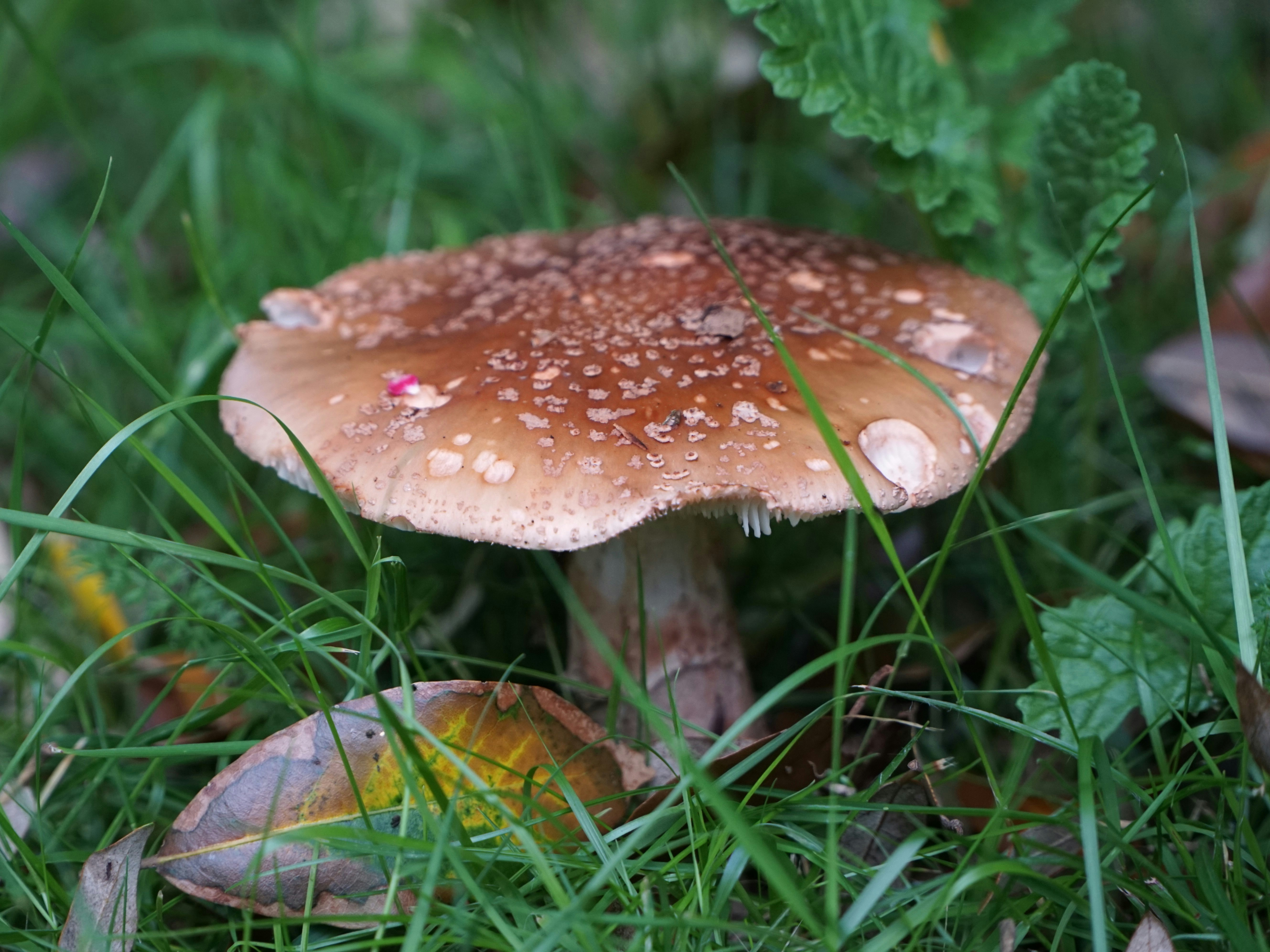 Photo by mostlymarvelling