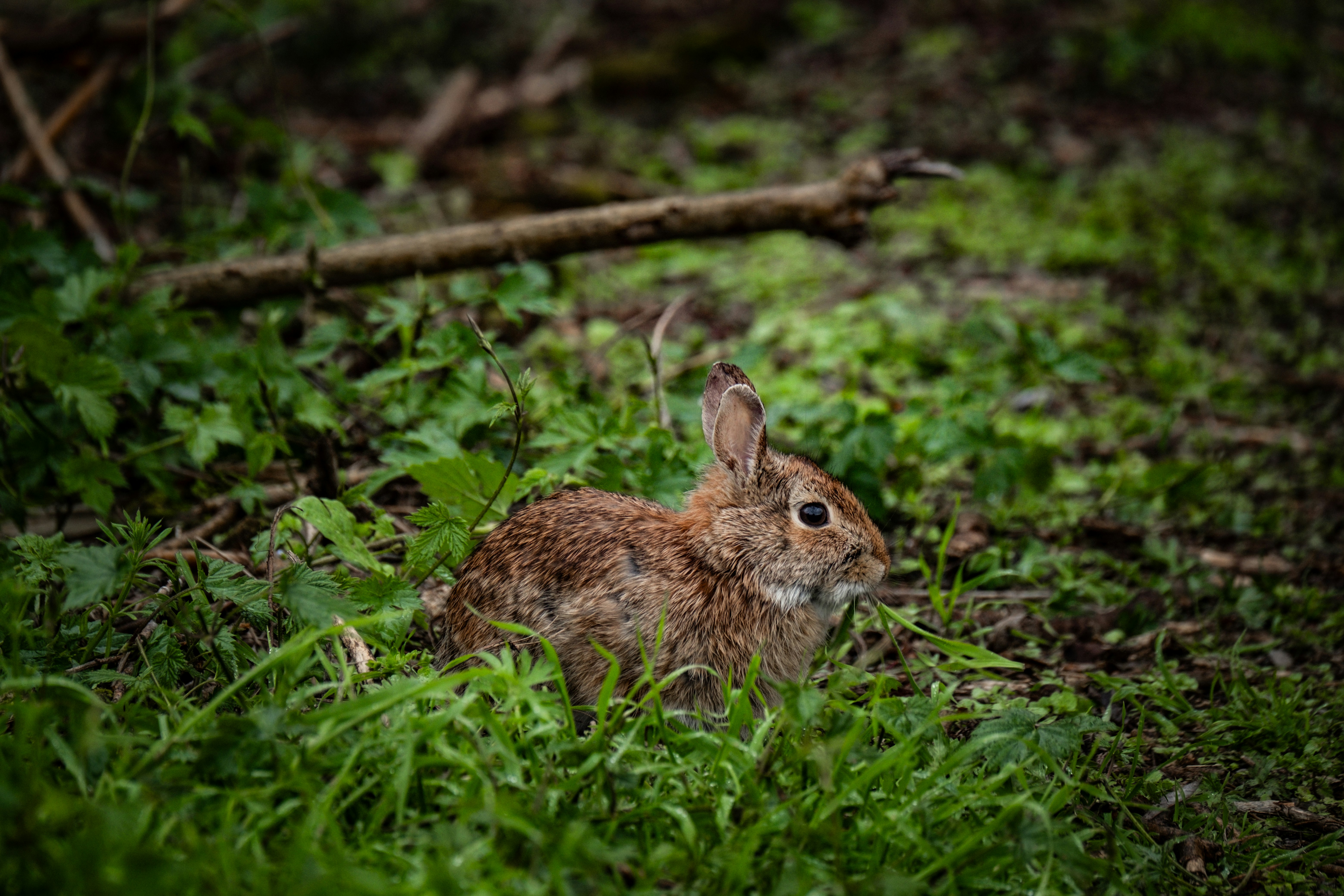 Photo by francesco_ungaro