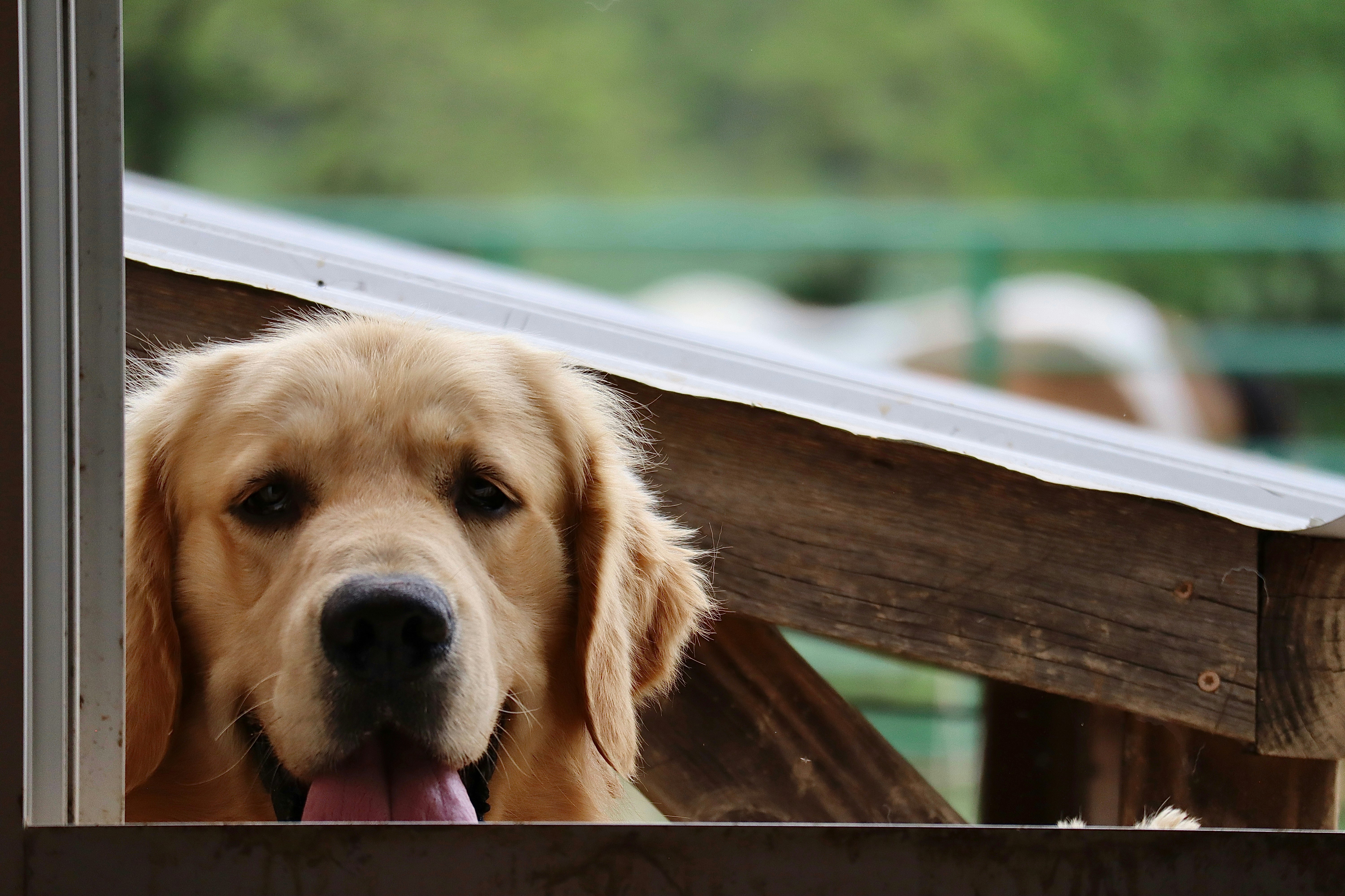 Photo by uberzeught