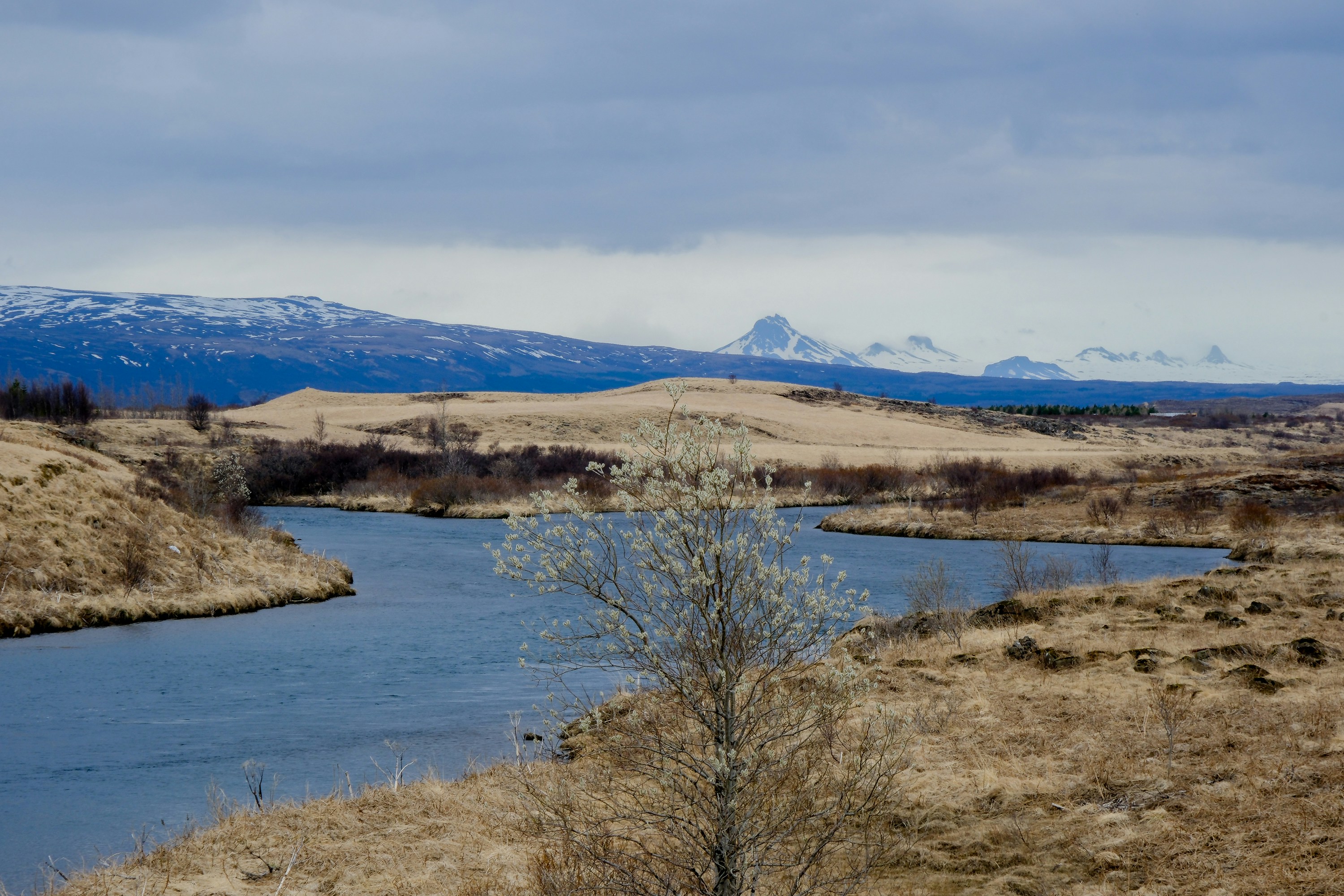 Photo by cestmoisheedy