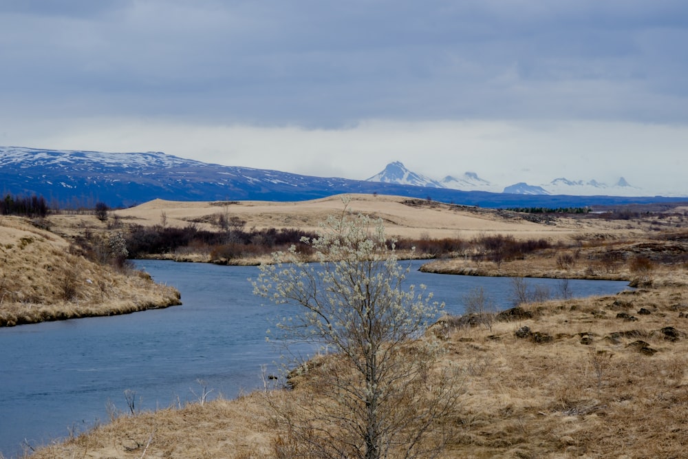 a river running through a dry grass covered field