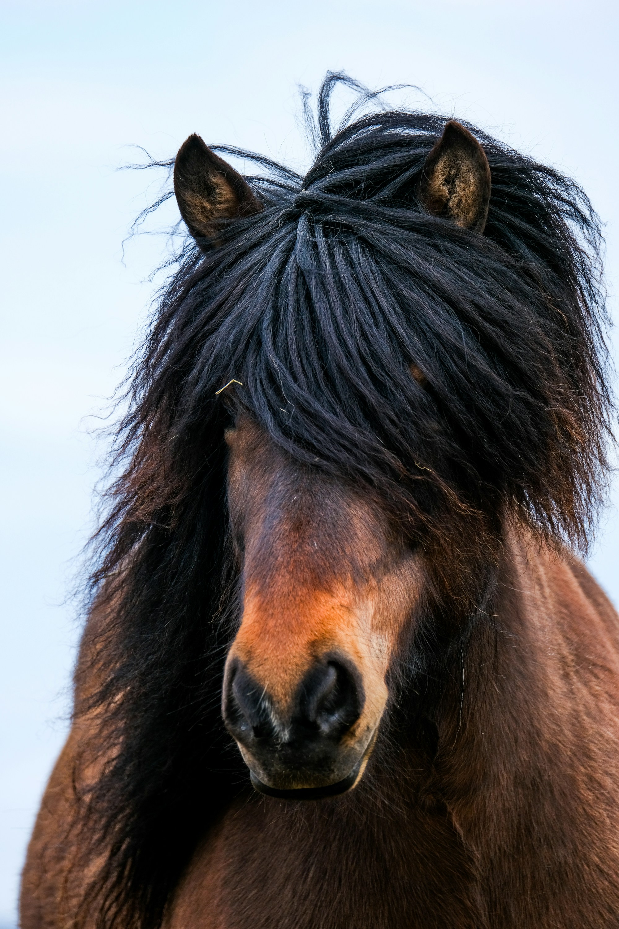 Photo by cestmoisheedy