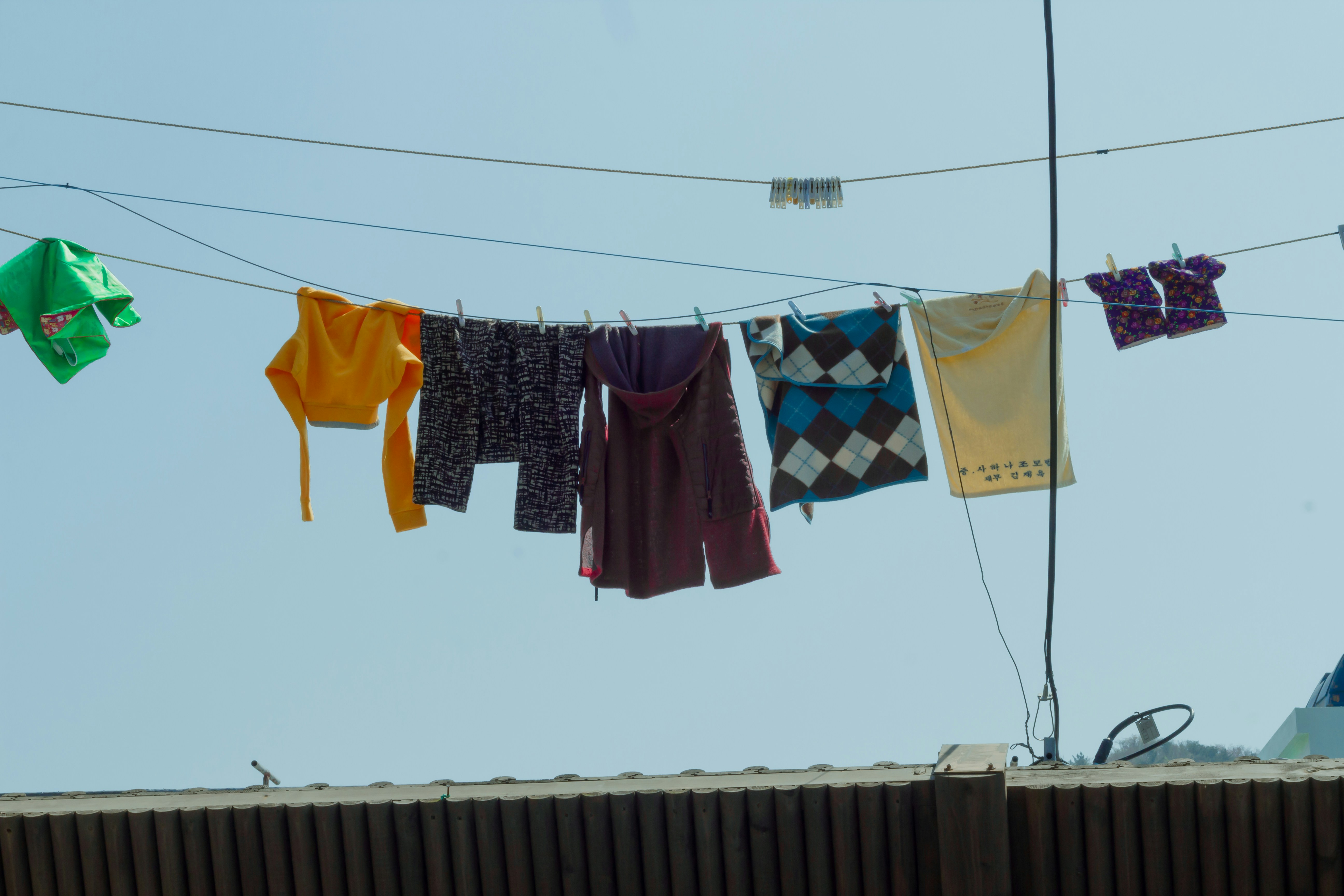 Photo by alina_kolpa