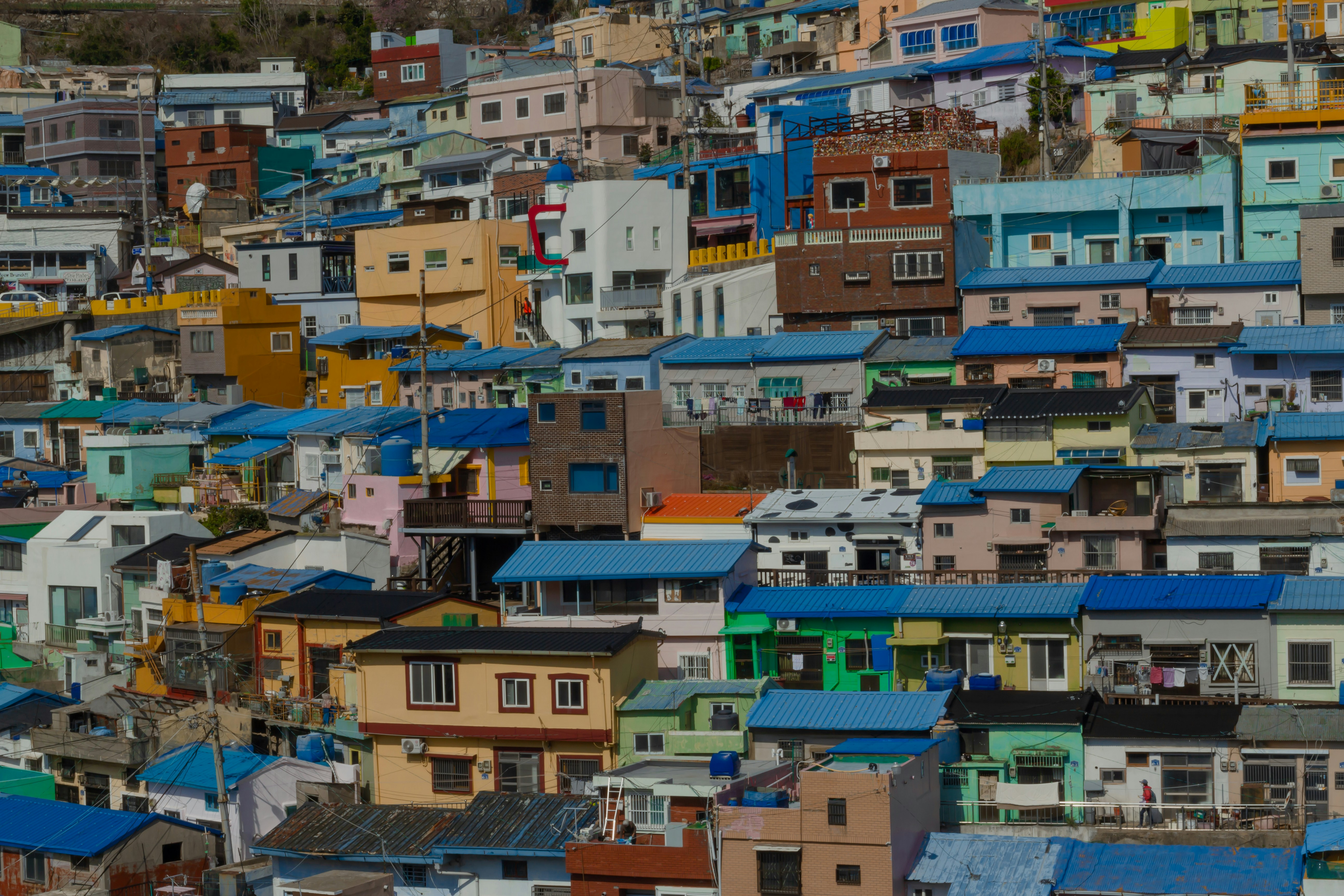 Ekonomik Eşitsizlik: Nedenler Sonuçlar ve...