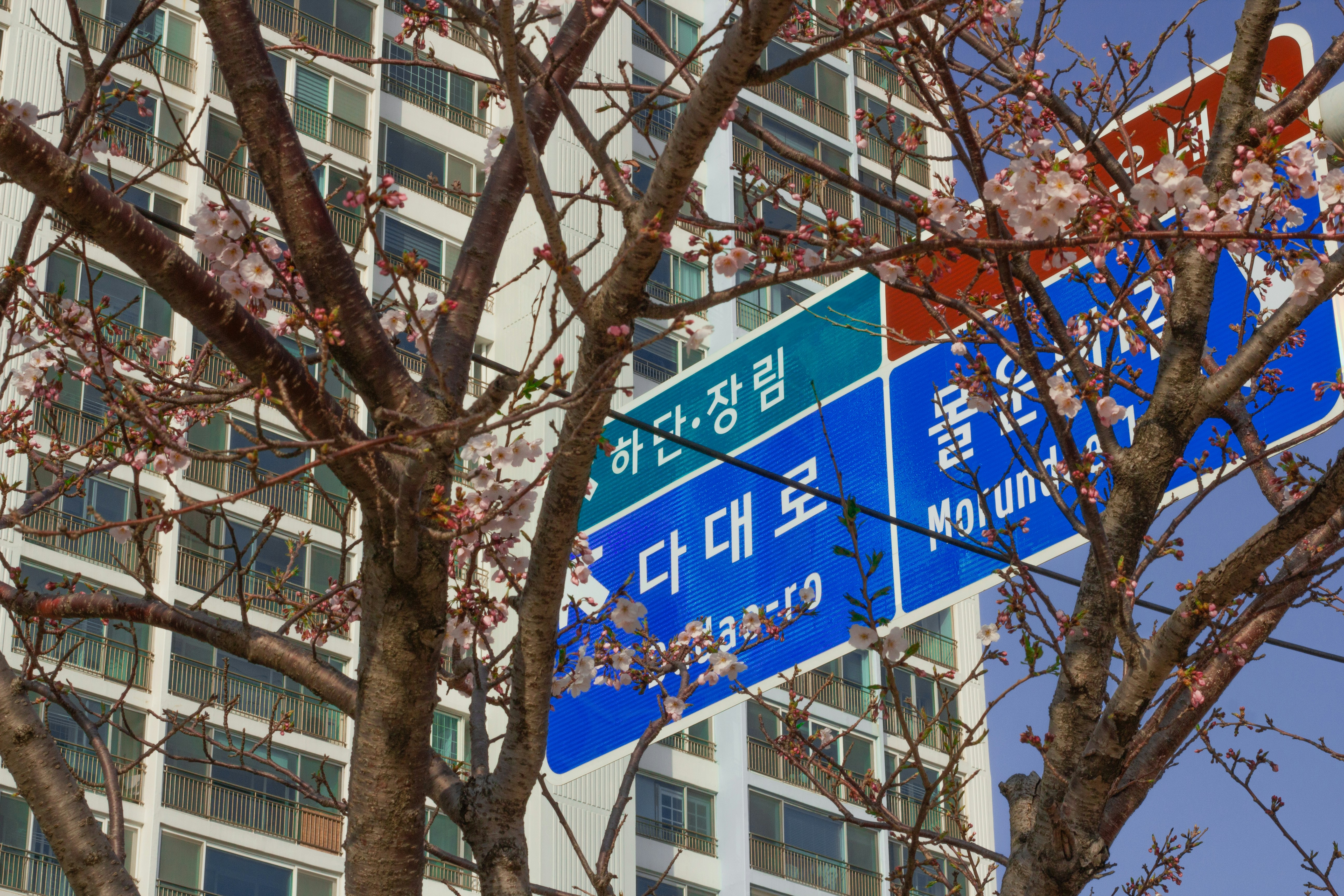 Photo by alina_kolpa