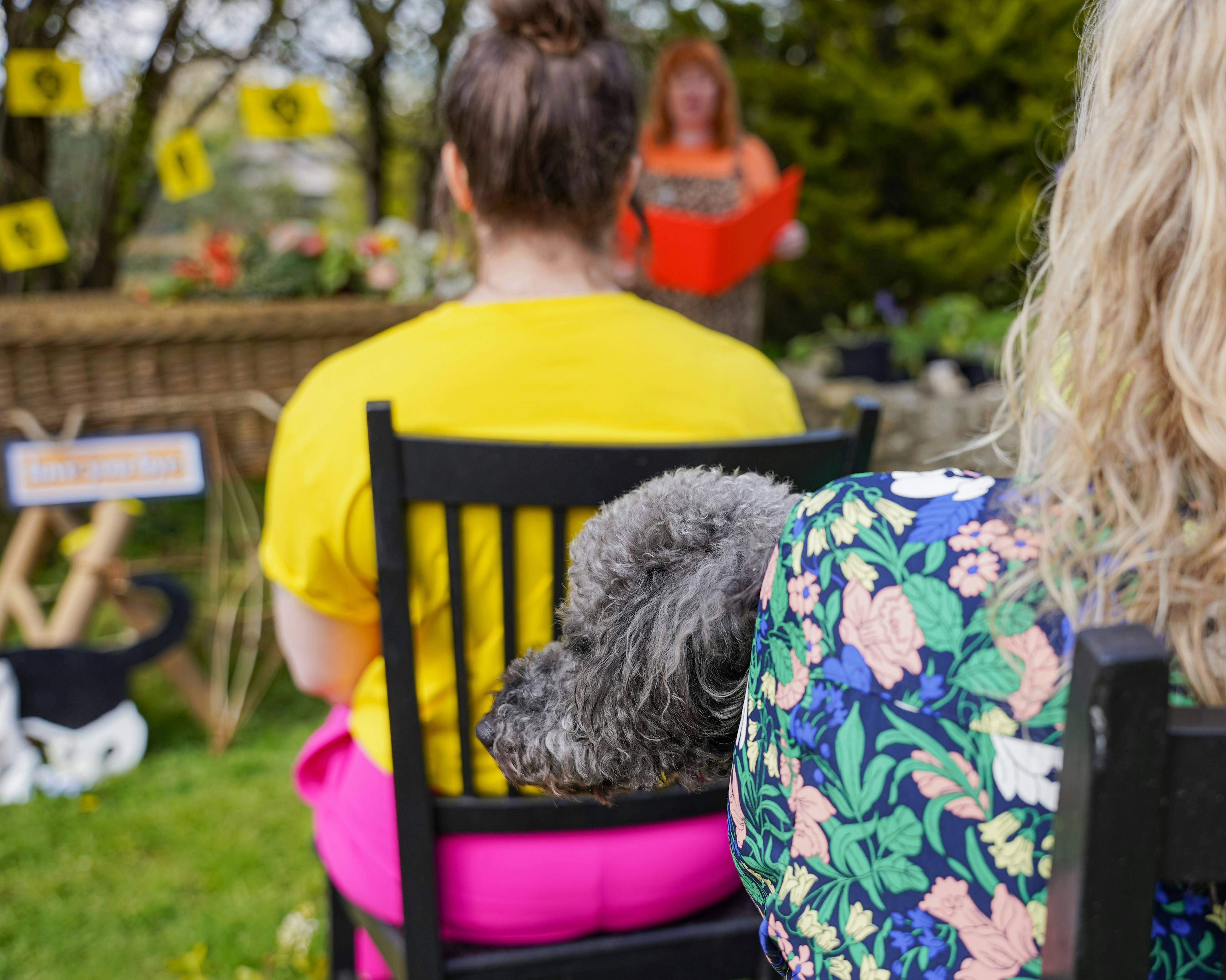 a dog sitting on a chair in front of a woman