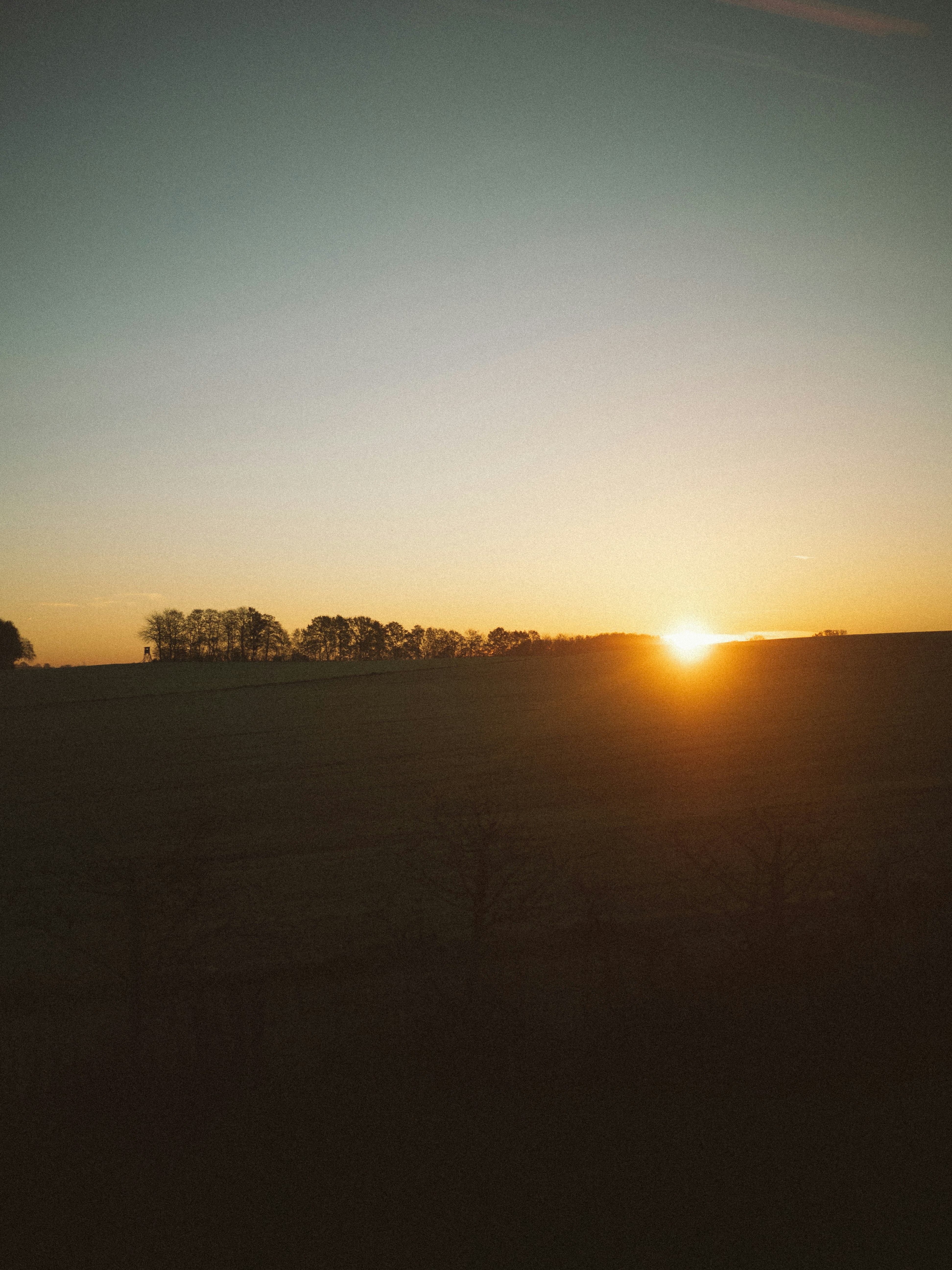 the sun is setting over a field of grass