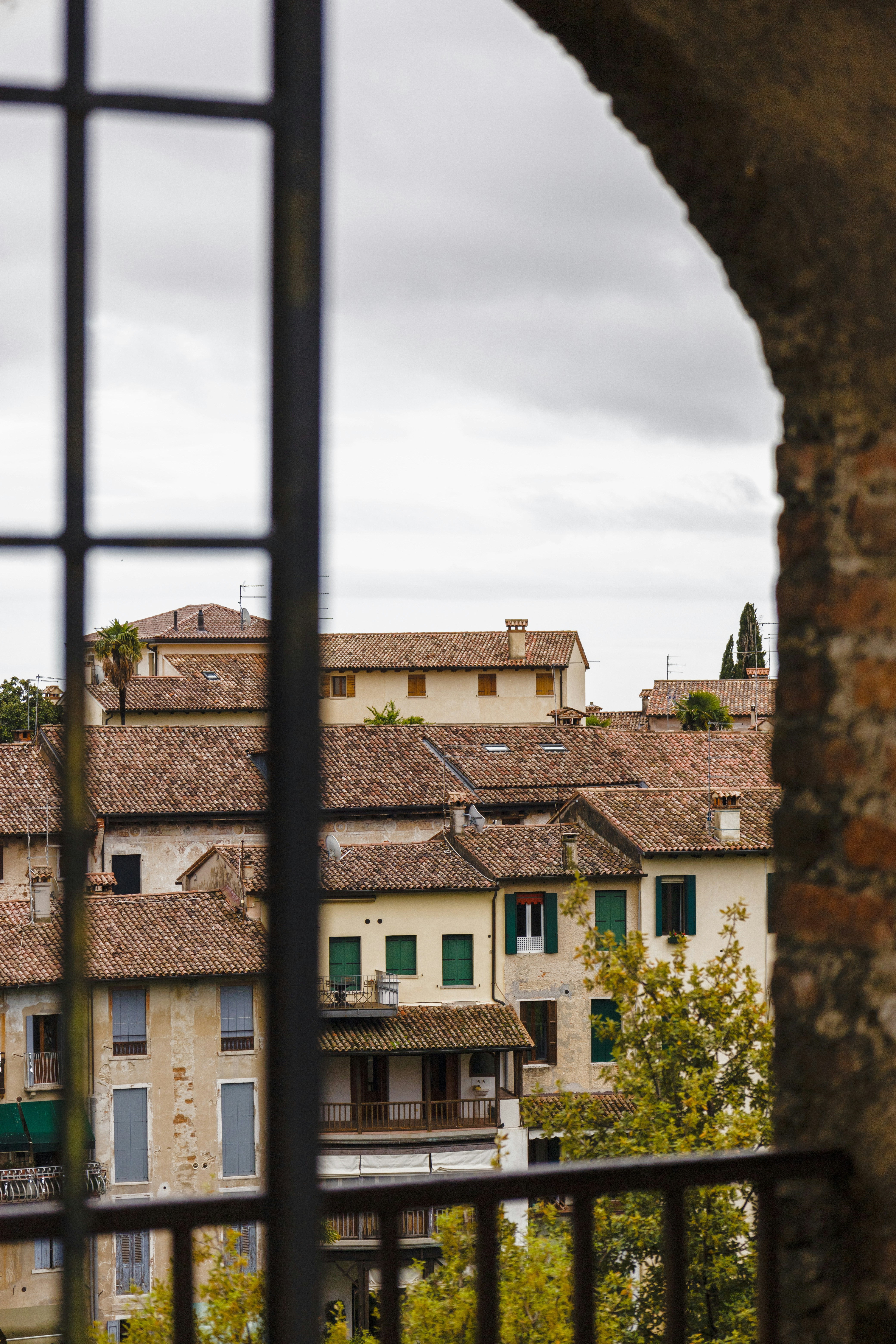 Photo by falconnovoa