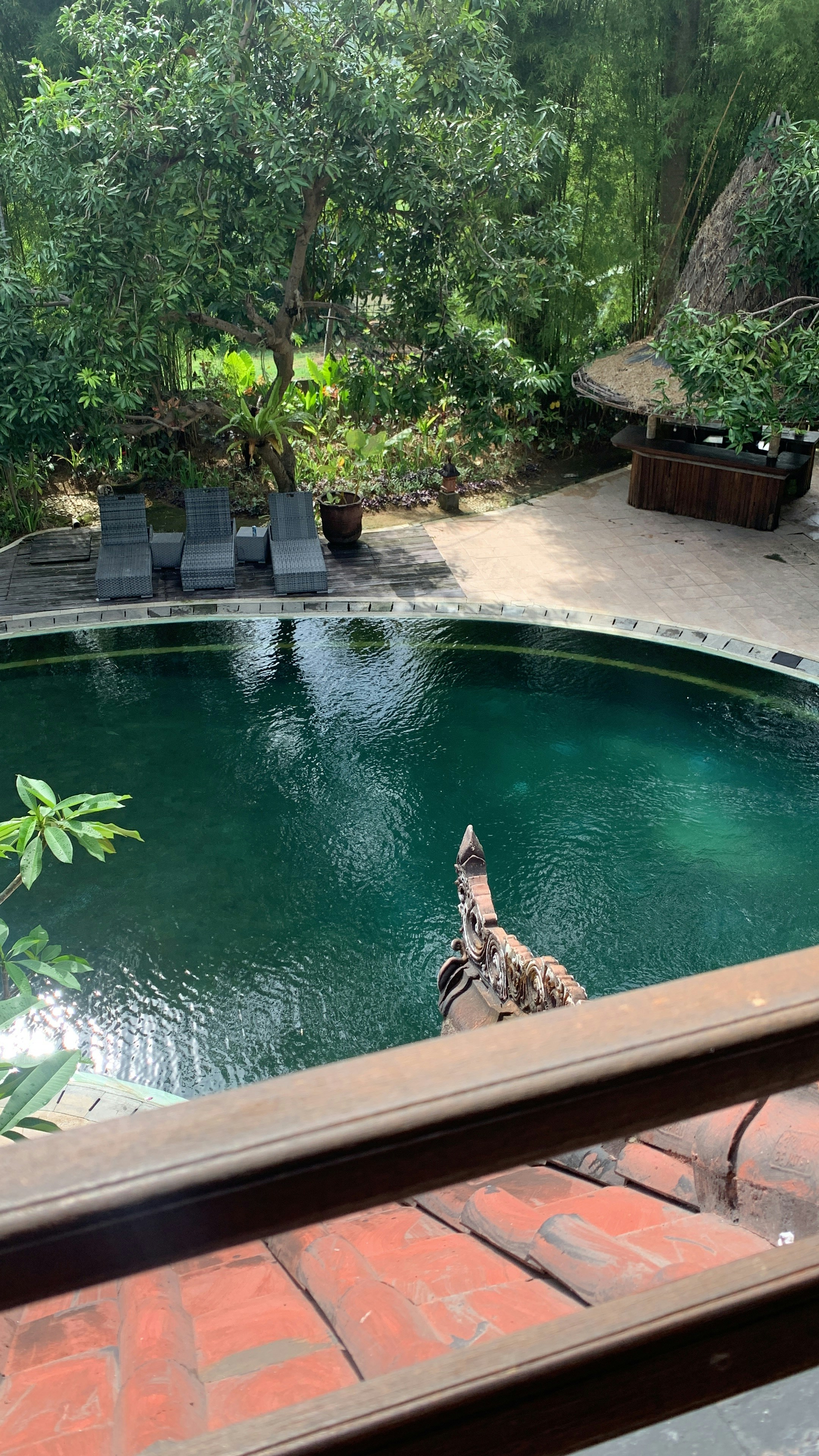 Serene spa pool surrounded by tropical greenery, bright natural daylight, peaceful setting