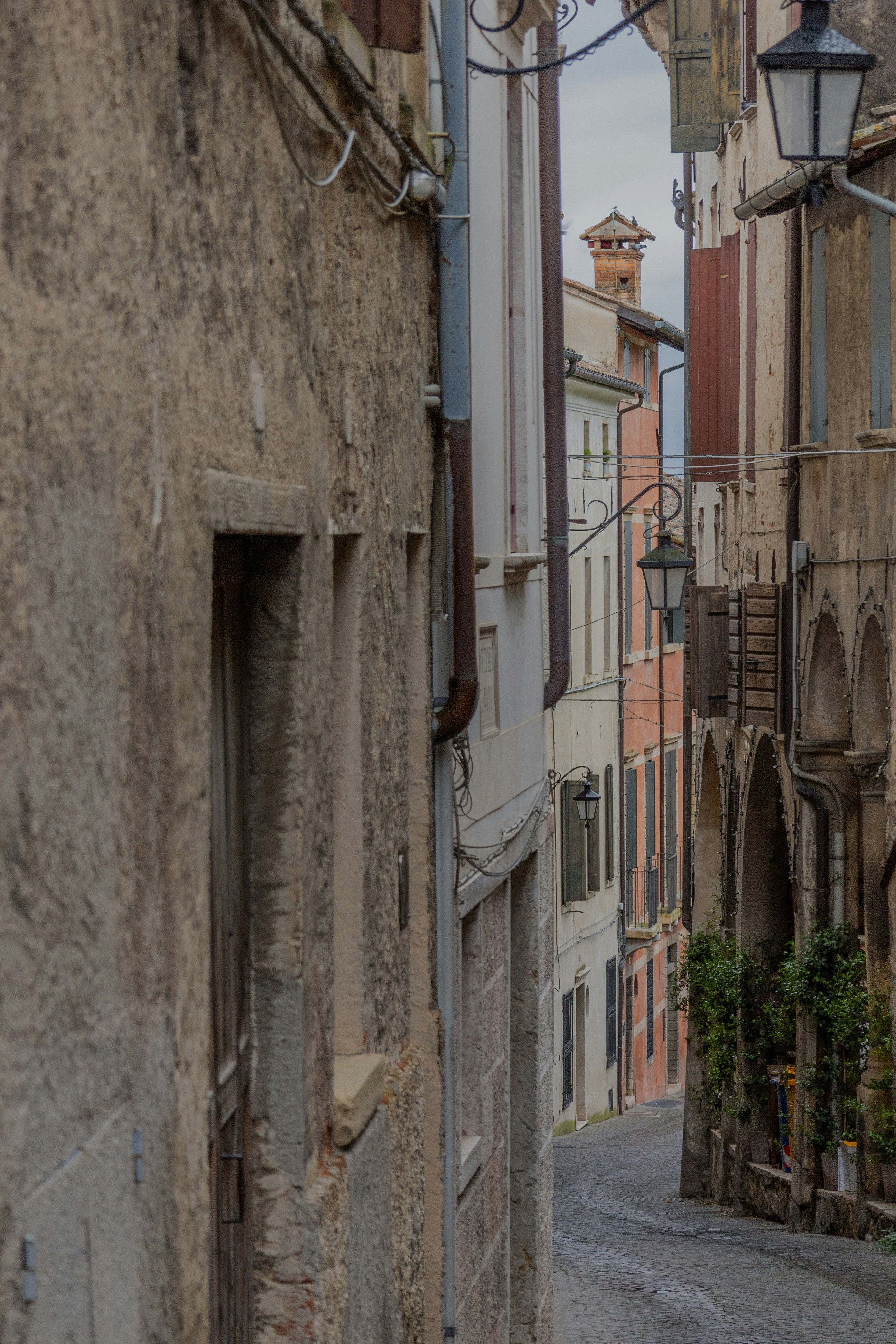 Photo by falconnovoa