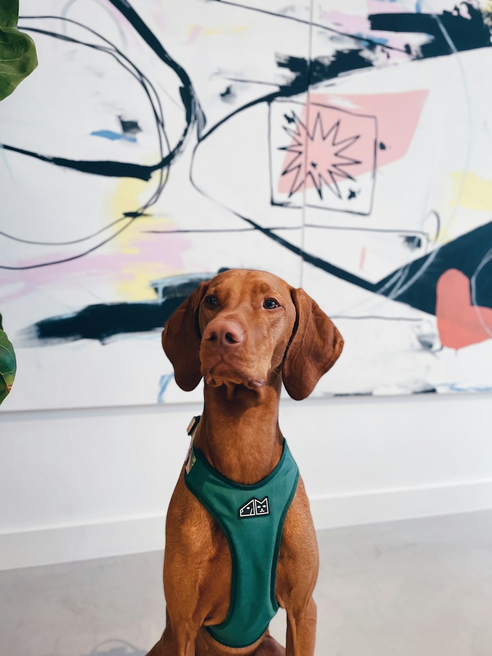 a brown dog sitting in front of a painting