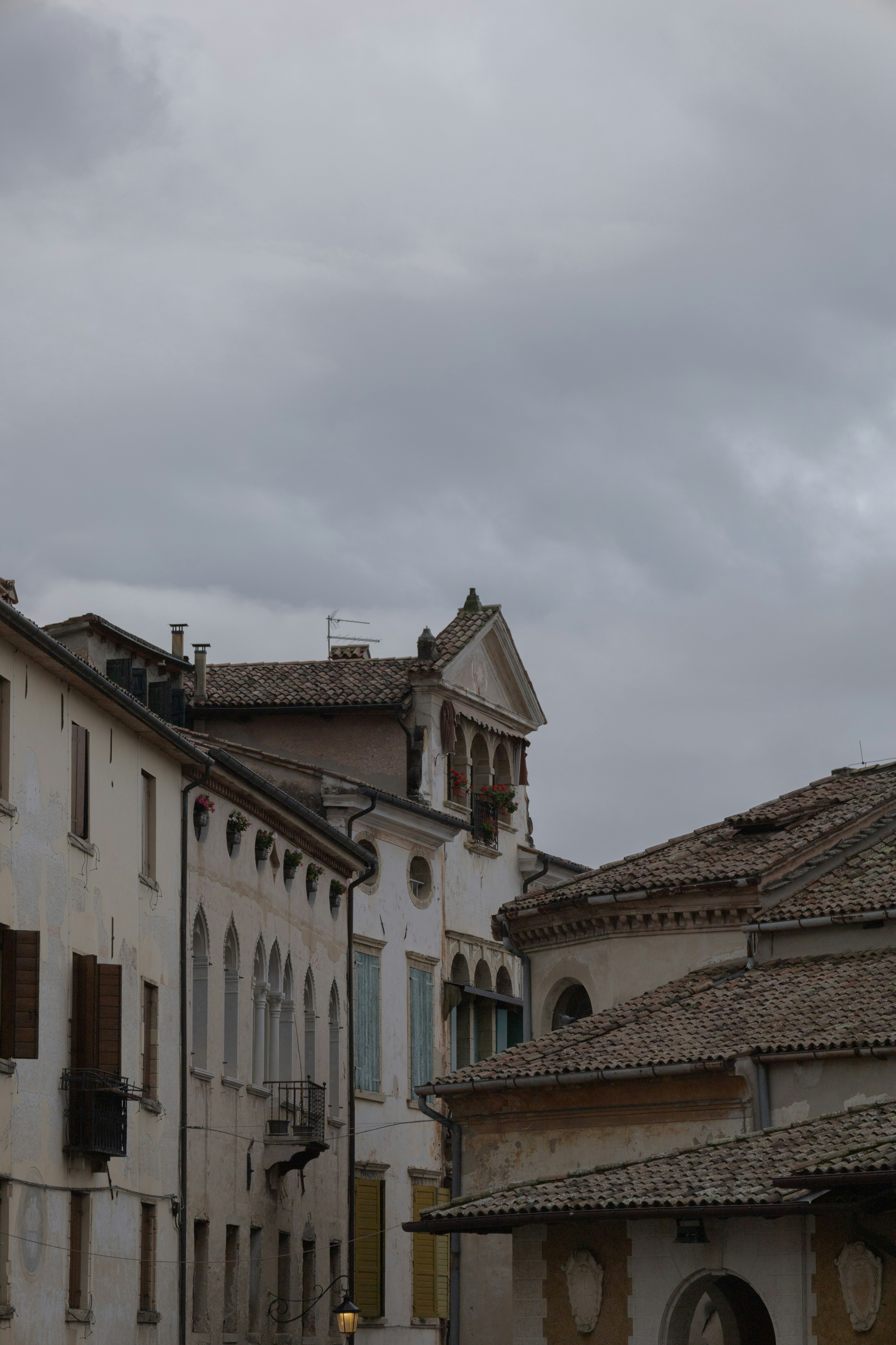 Photo by falconnovoa