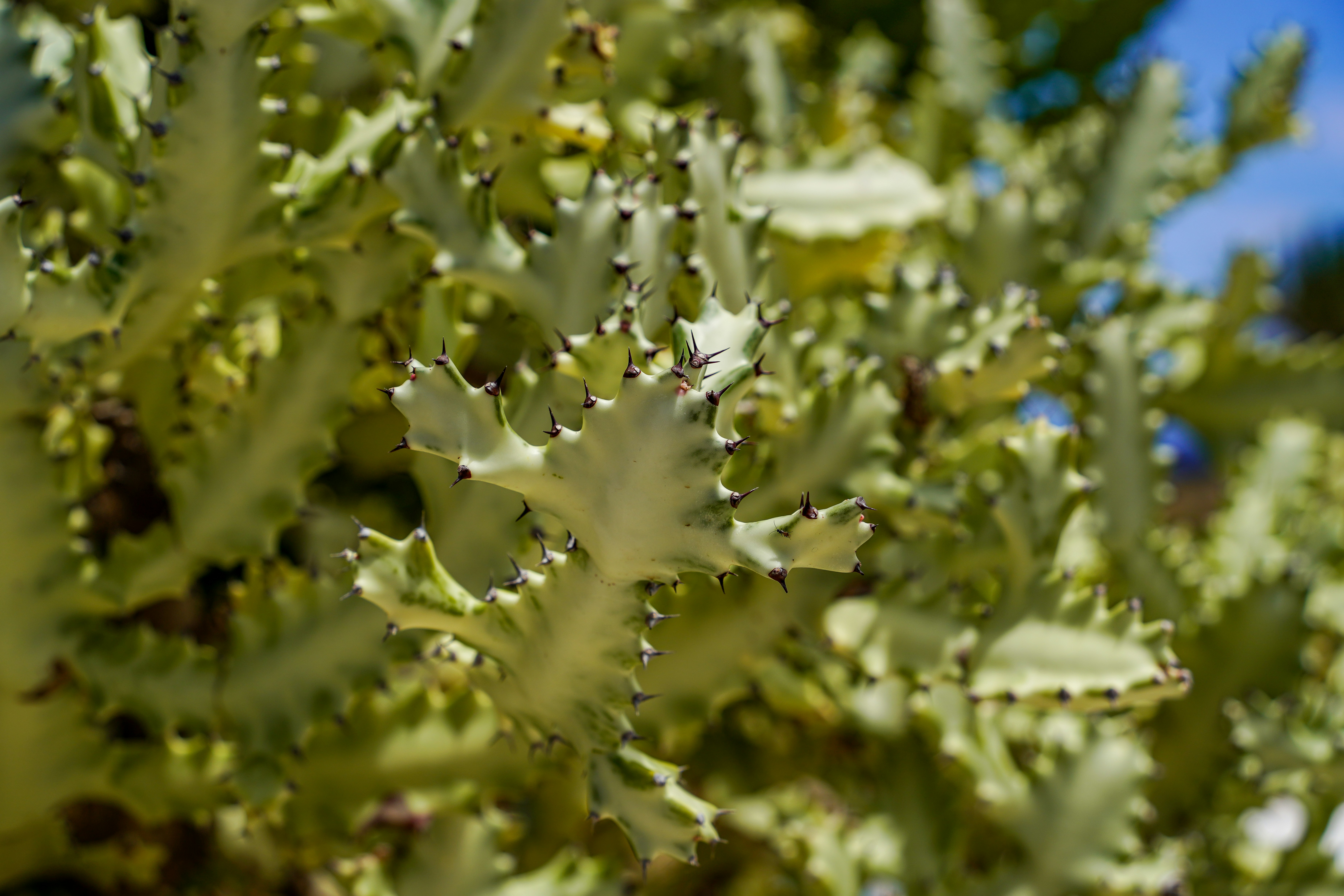 Photo by magictravel