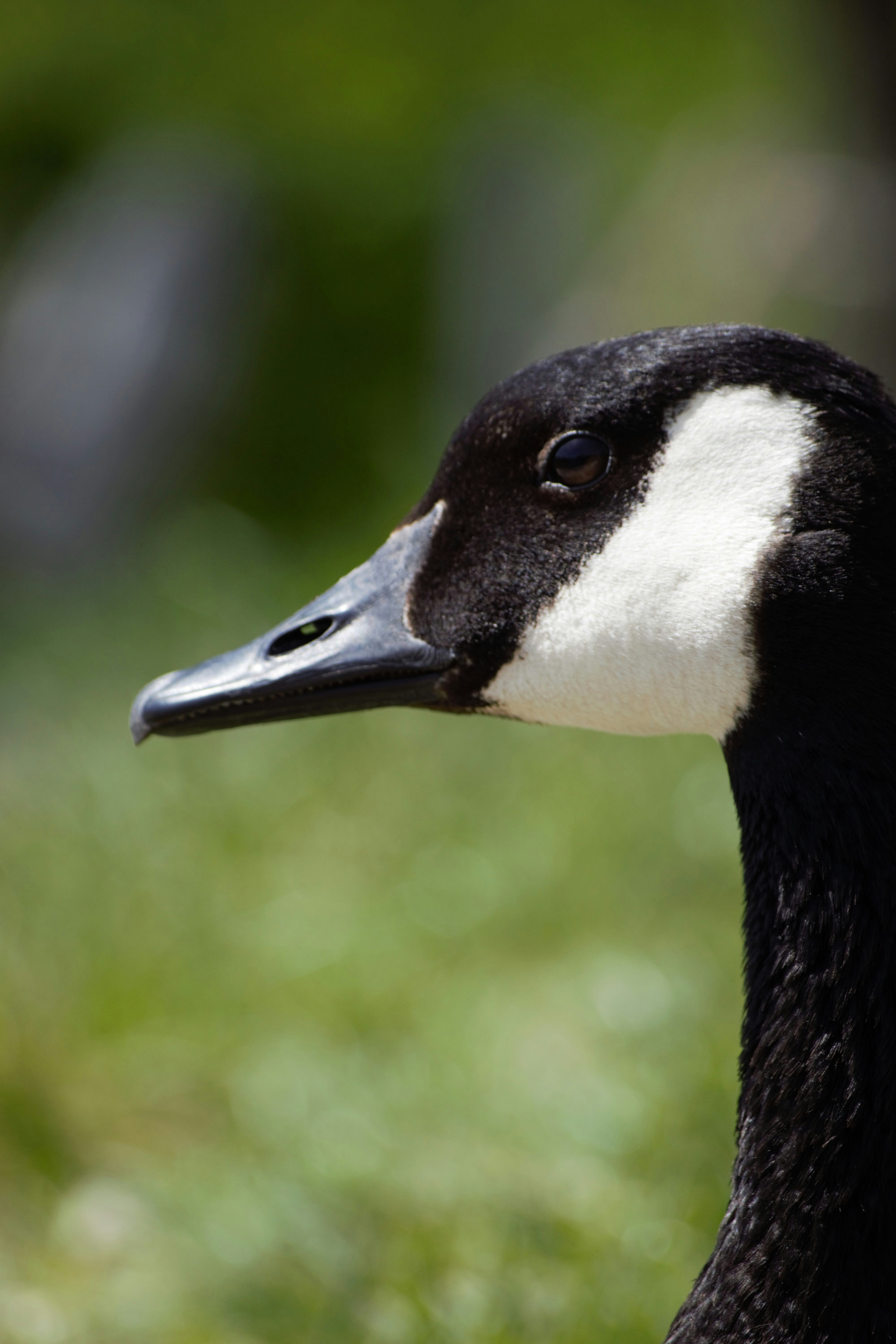 Photo by filming_co2022