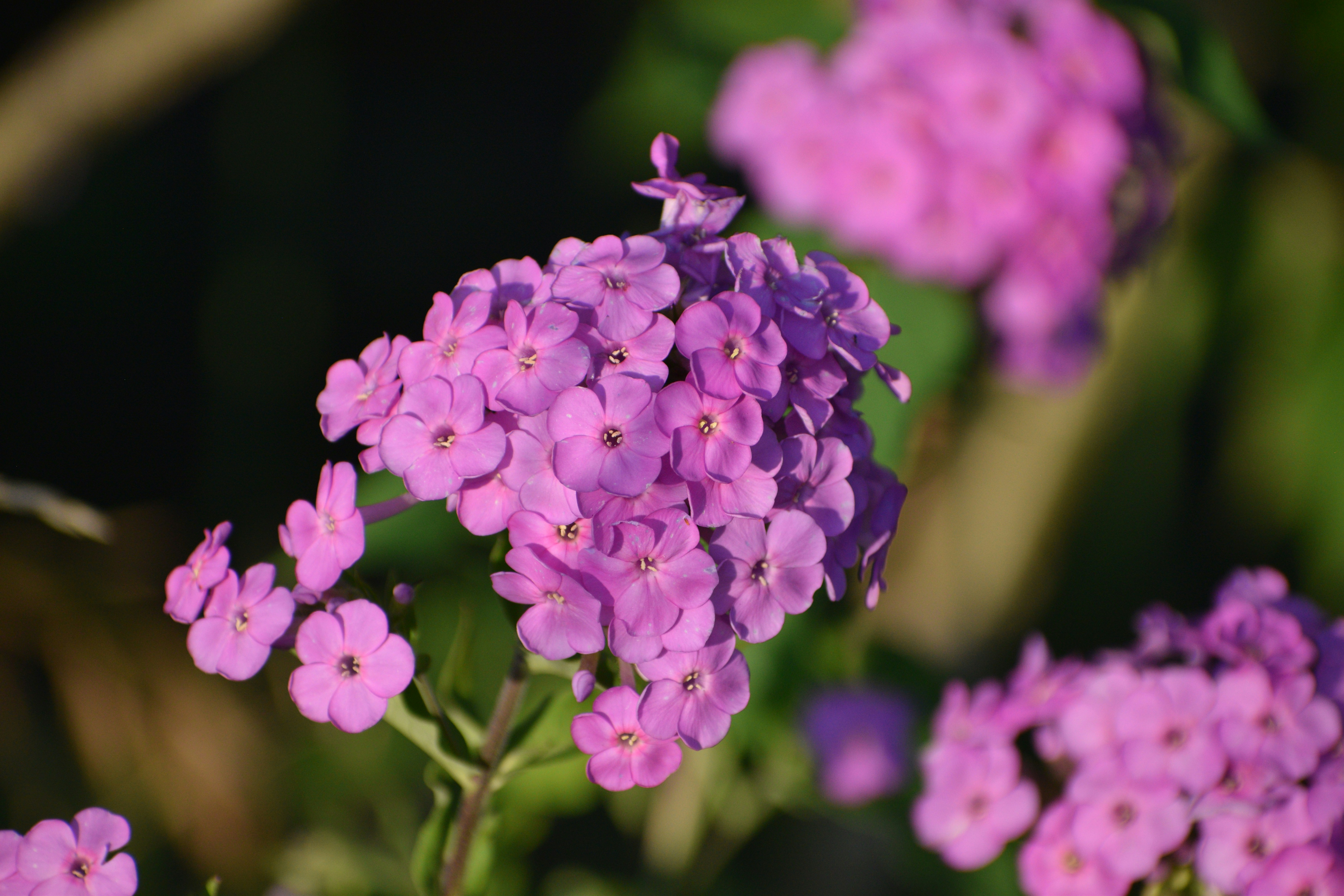 Photo by filming_co2022