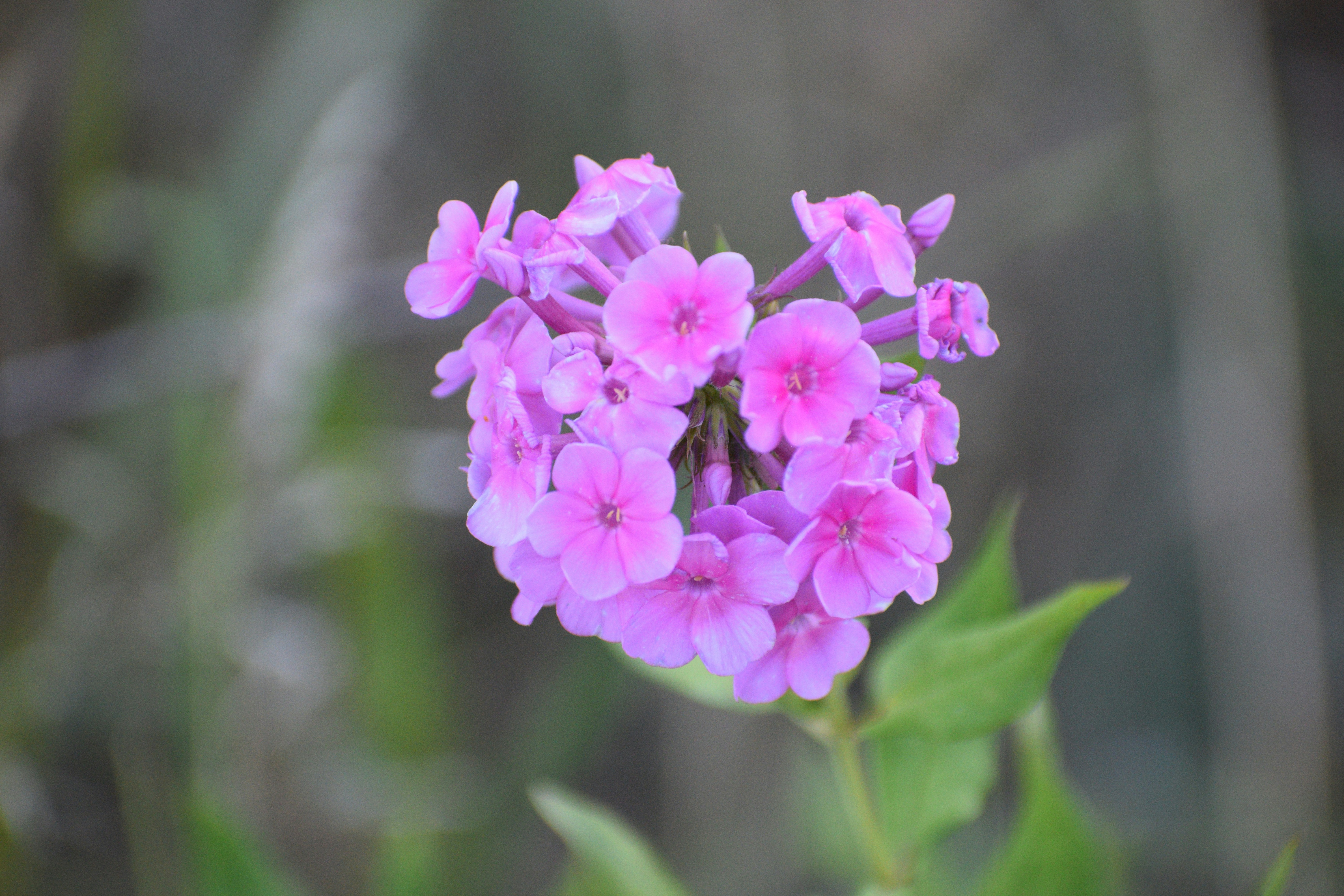 Photo by filming_co2022