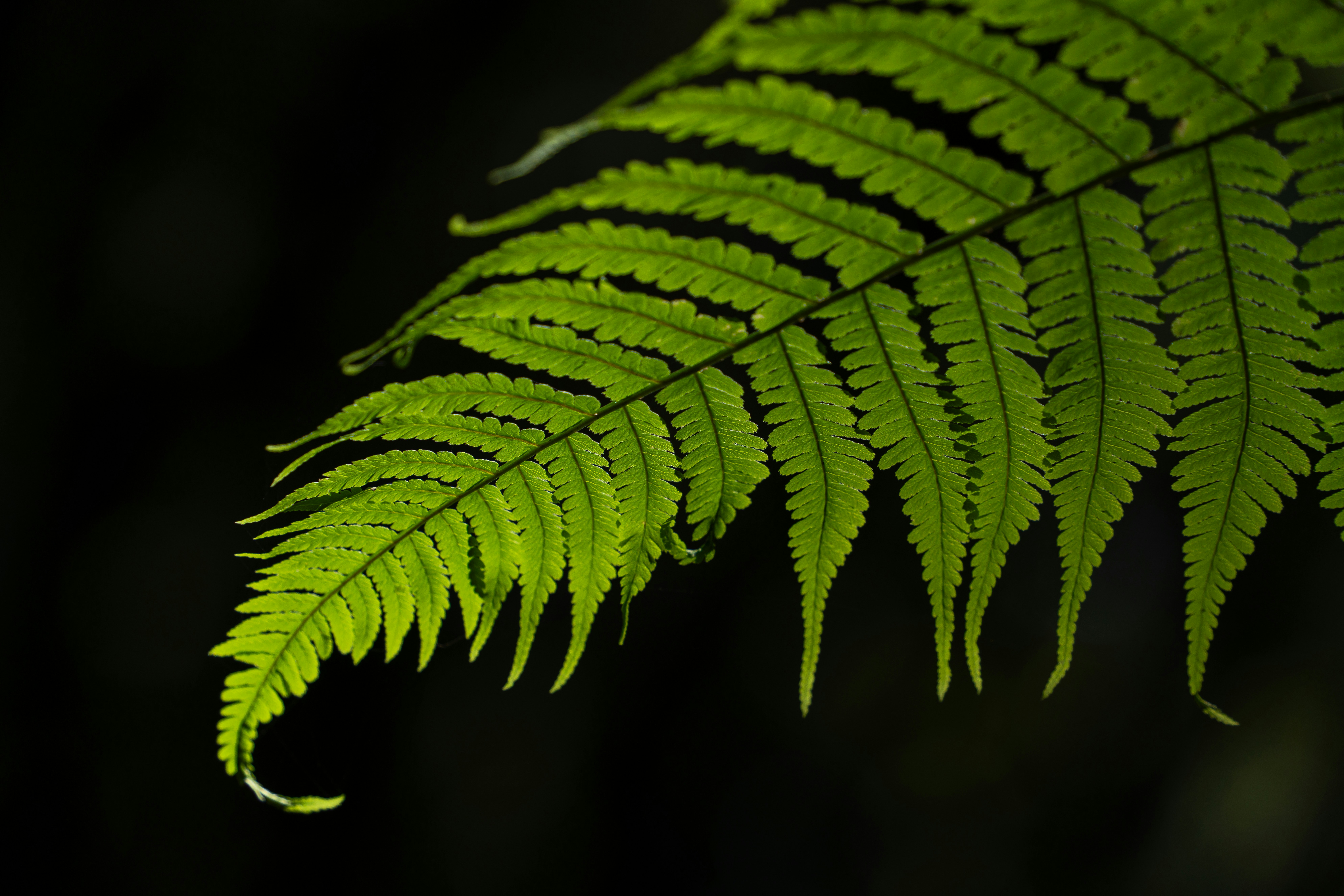 Photo by magictravel