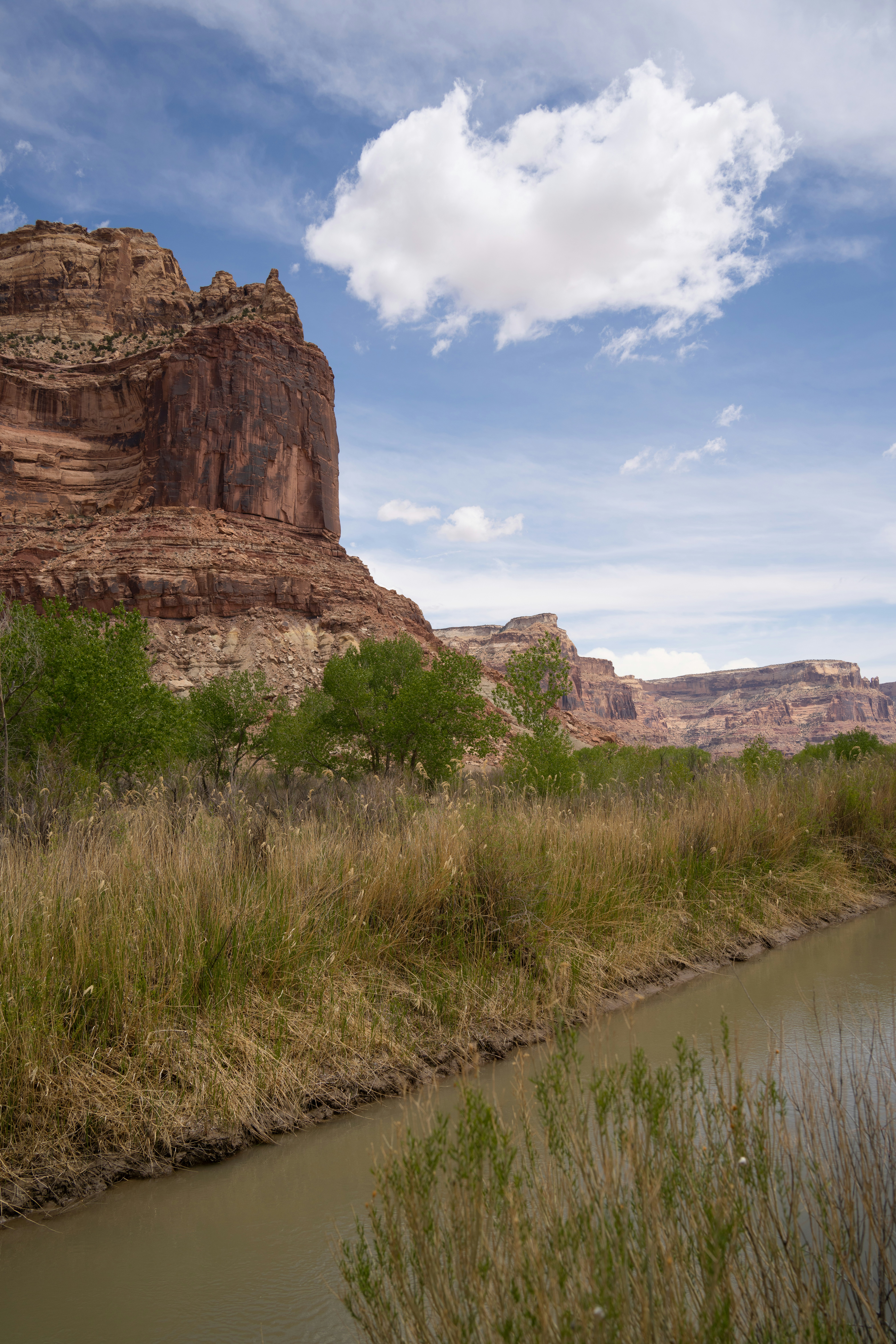 Photo by alexmoliski