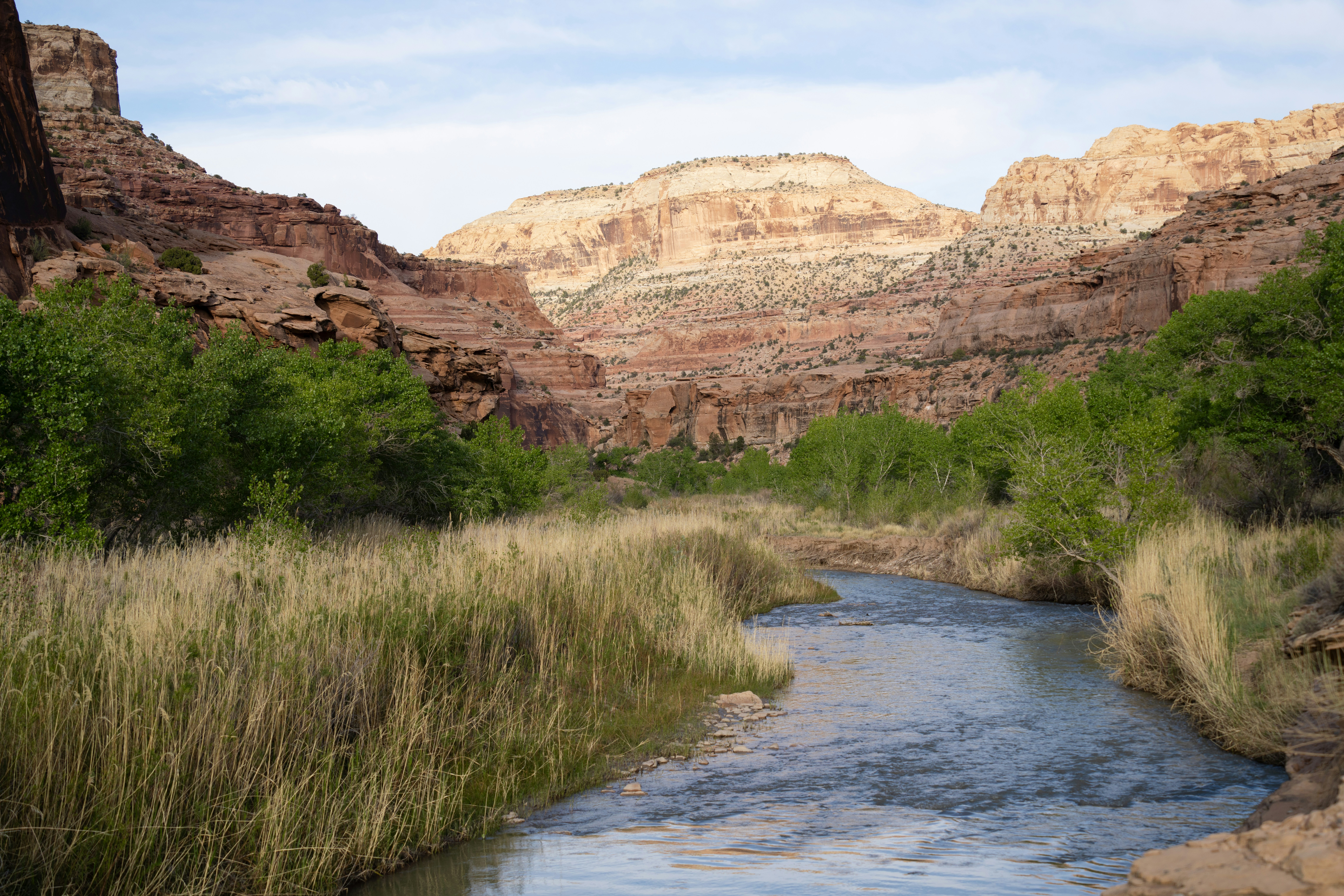 Photo by alexmoliski