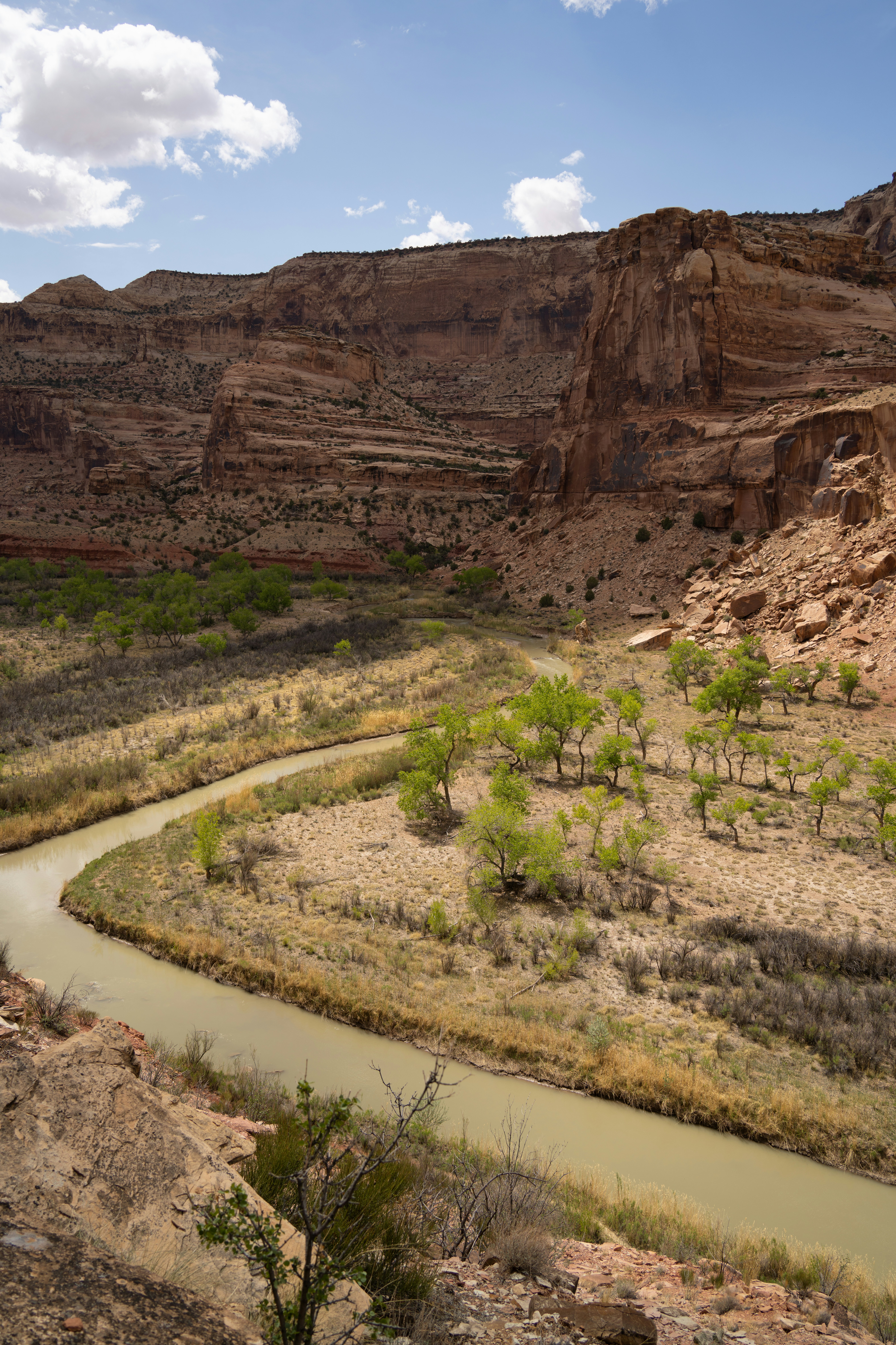 Photo by alexmoliski