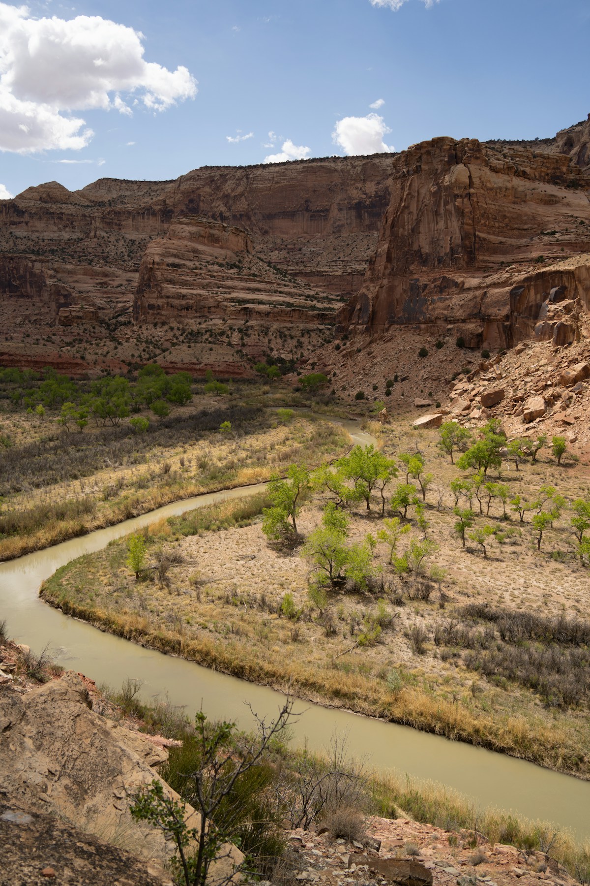 Salt River: Water Users Access Loop