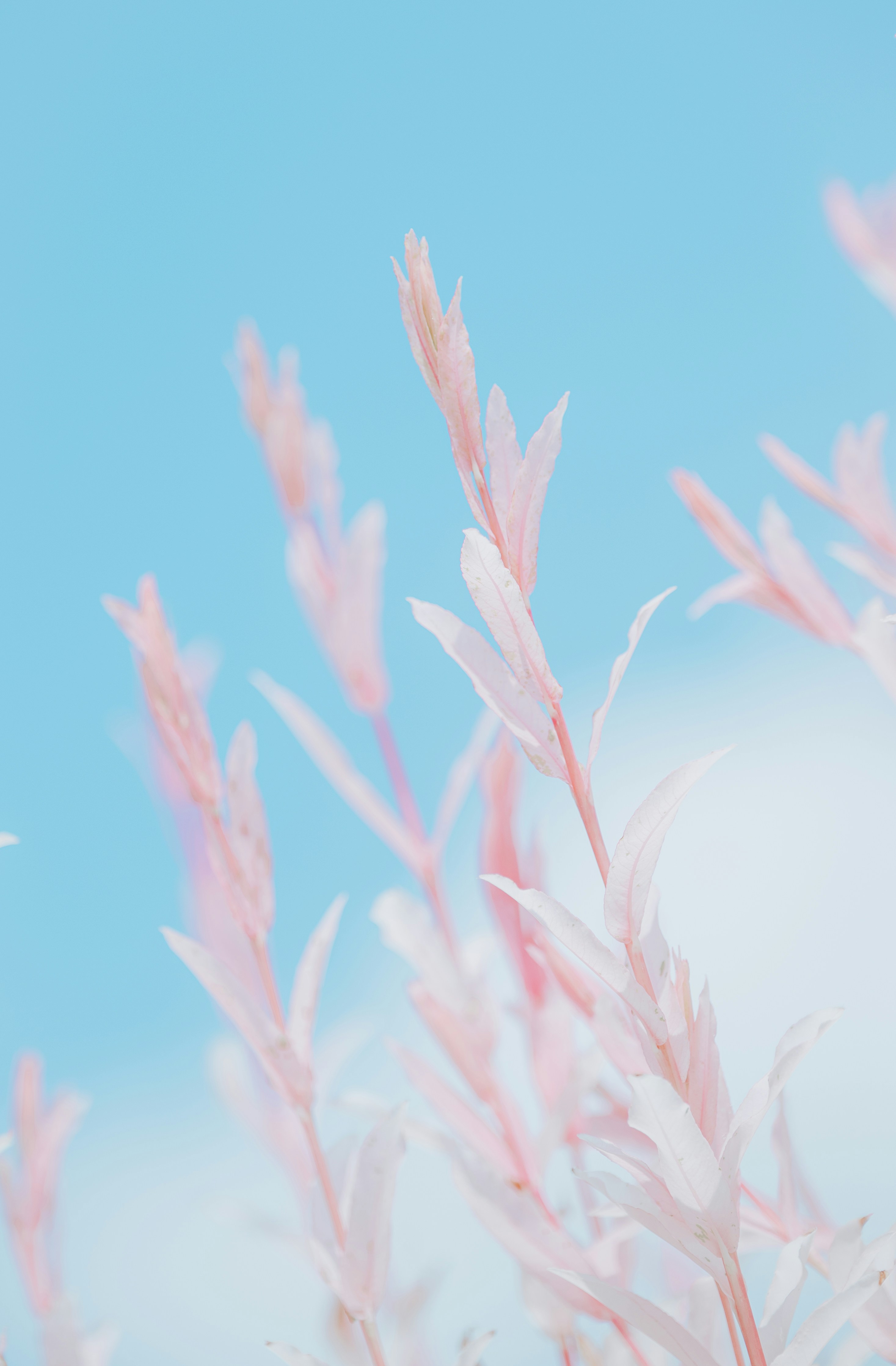 Photo by jetztabertempo