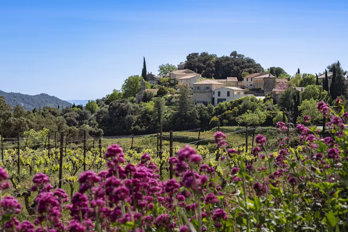 Paisible studio plein de charme à Rousset — Studio · Rousset, Provence