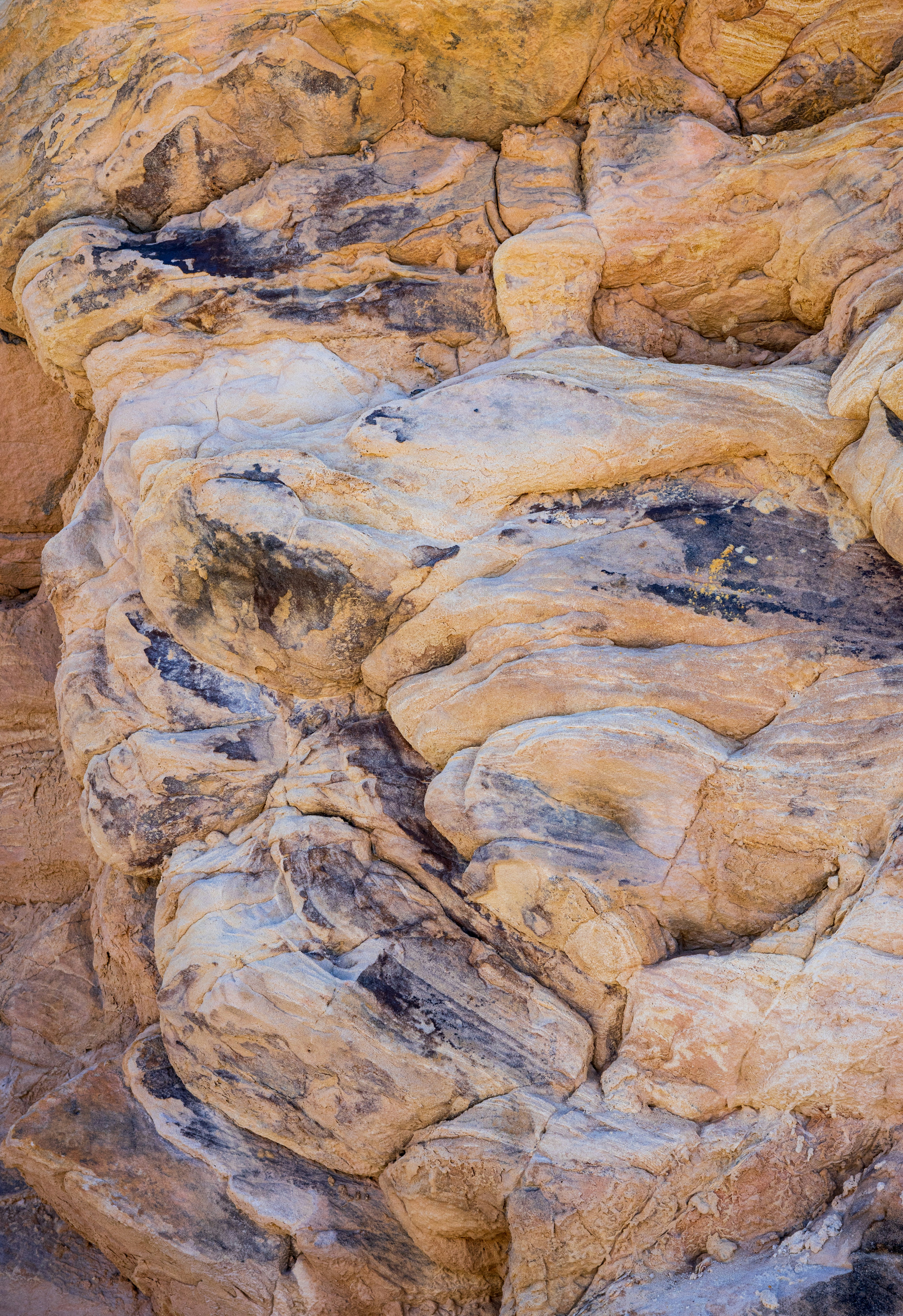 Photo by brandonstoll