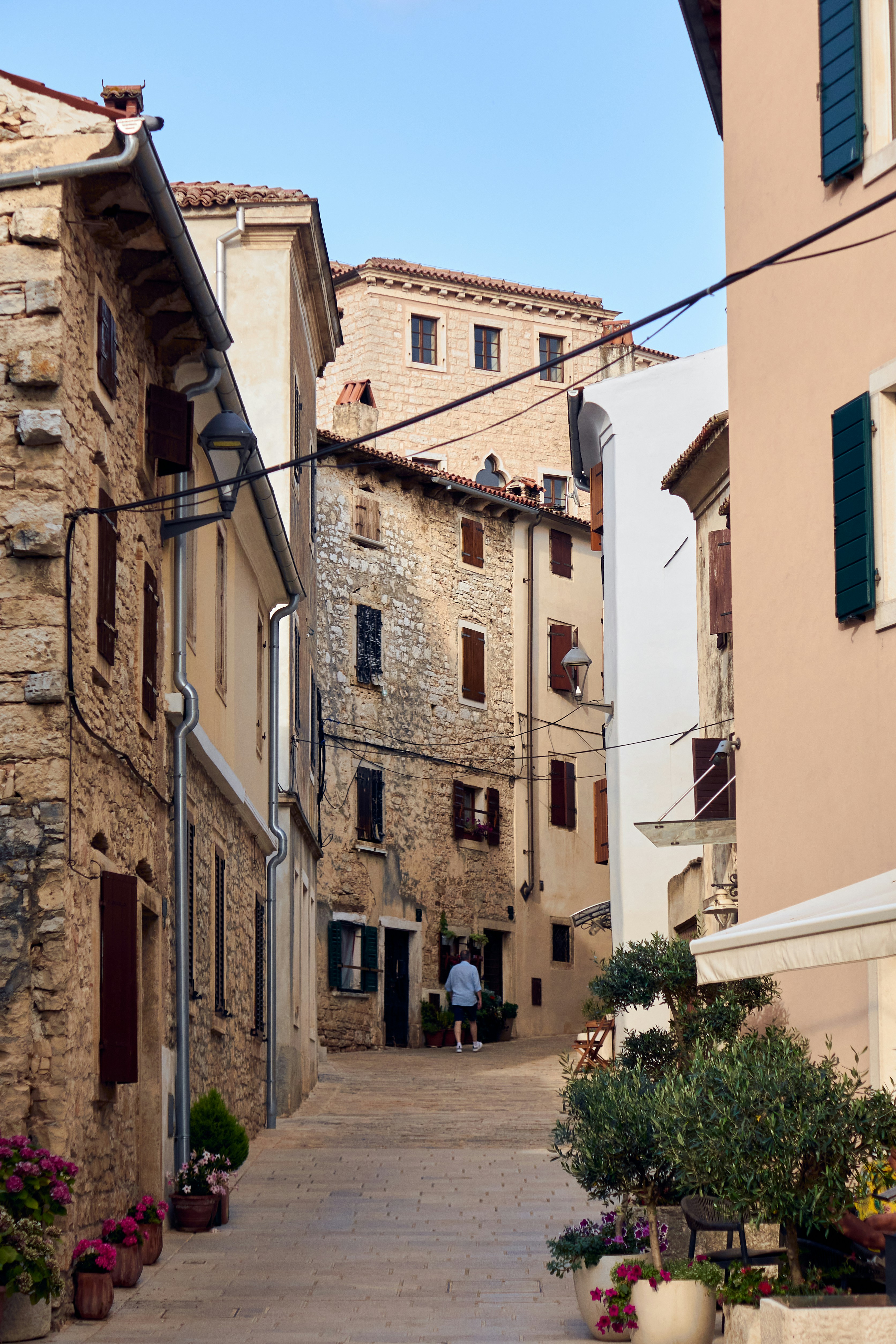 Photo by franzgrossmann