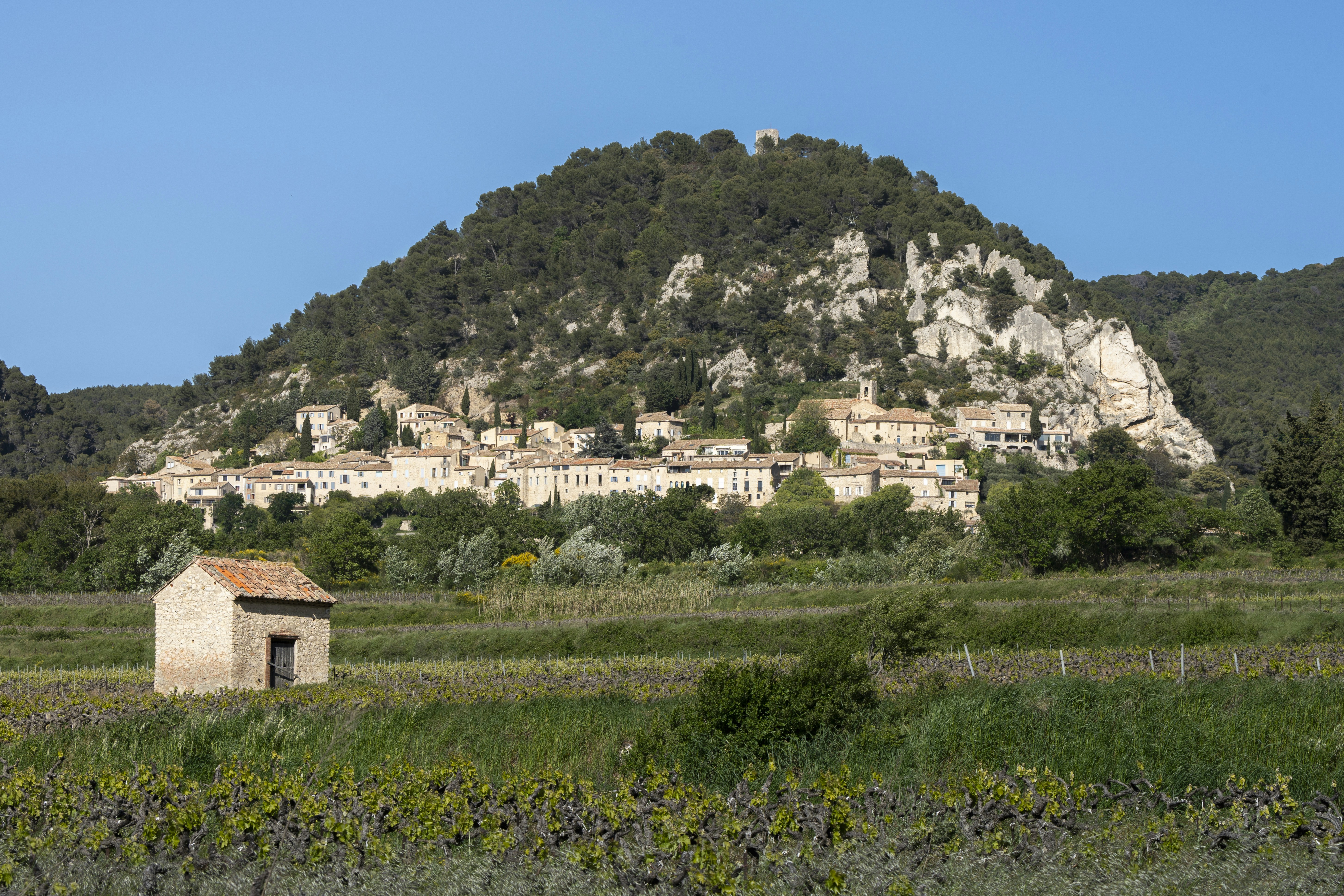 Photo by le_sixieme_reve