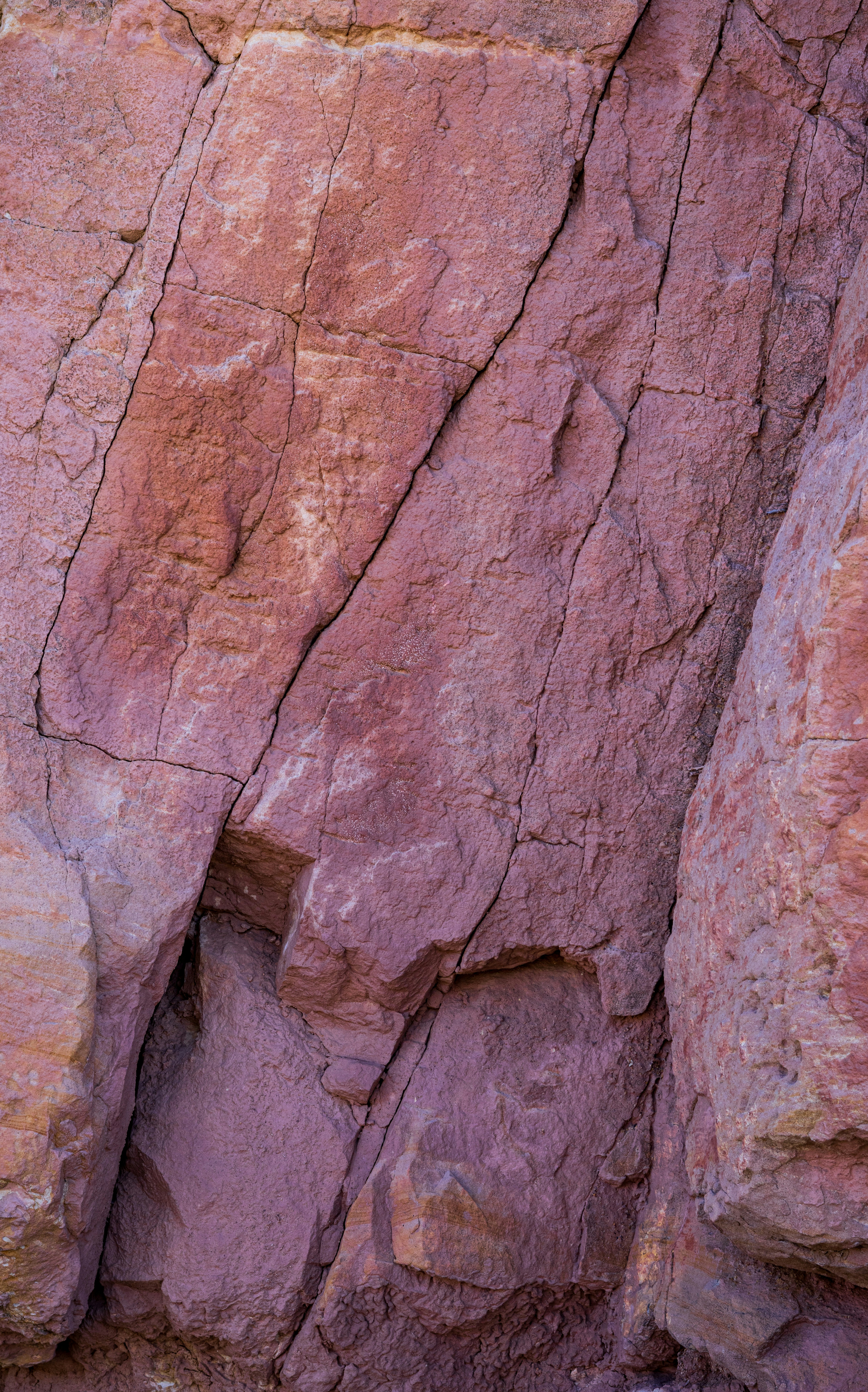 Photo by brandonstoll