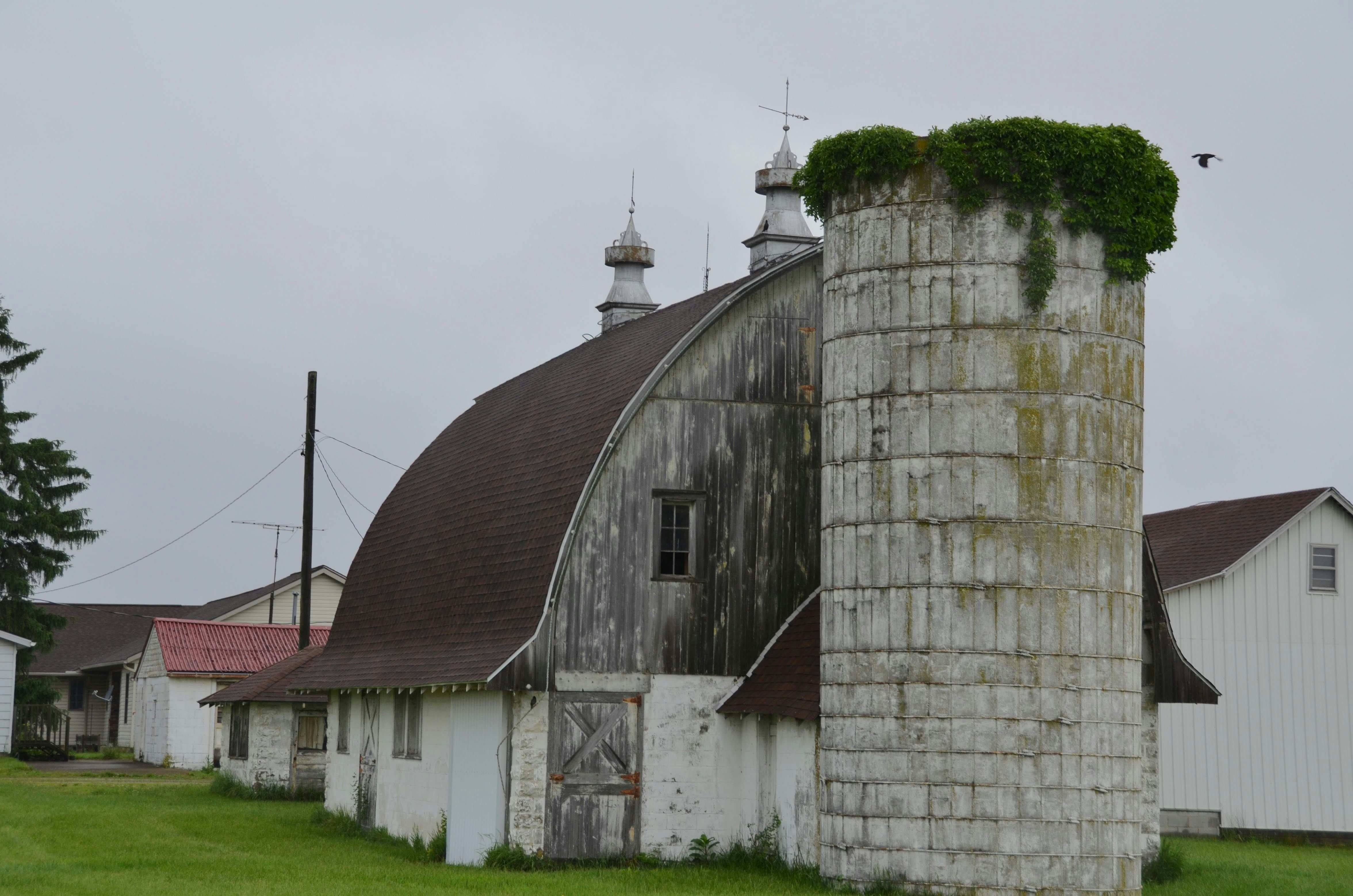 Faded white arched roof barn with concrete silo with weed topper