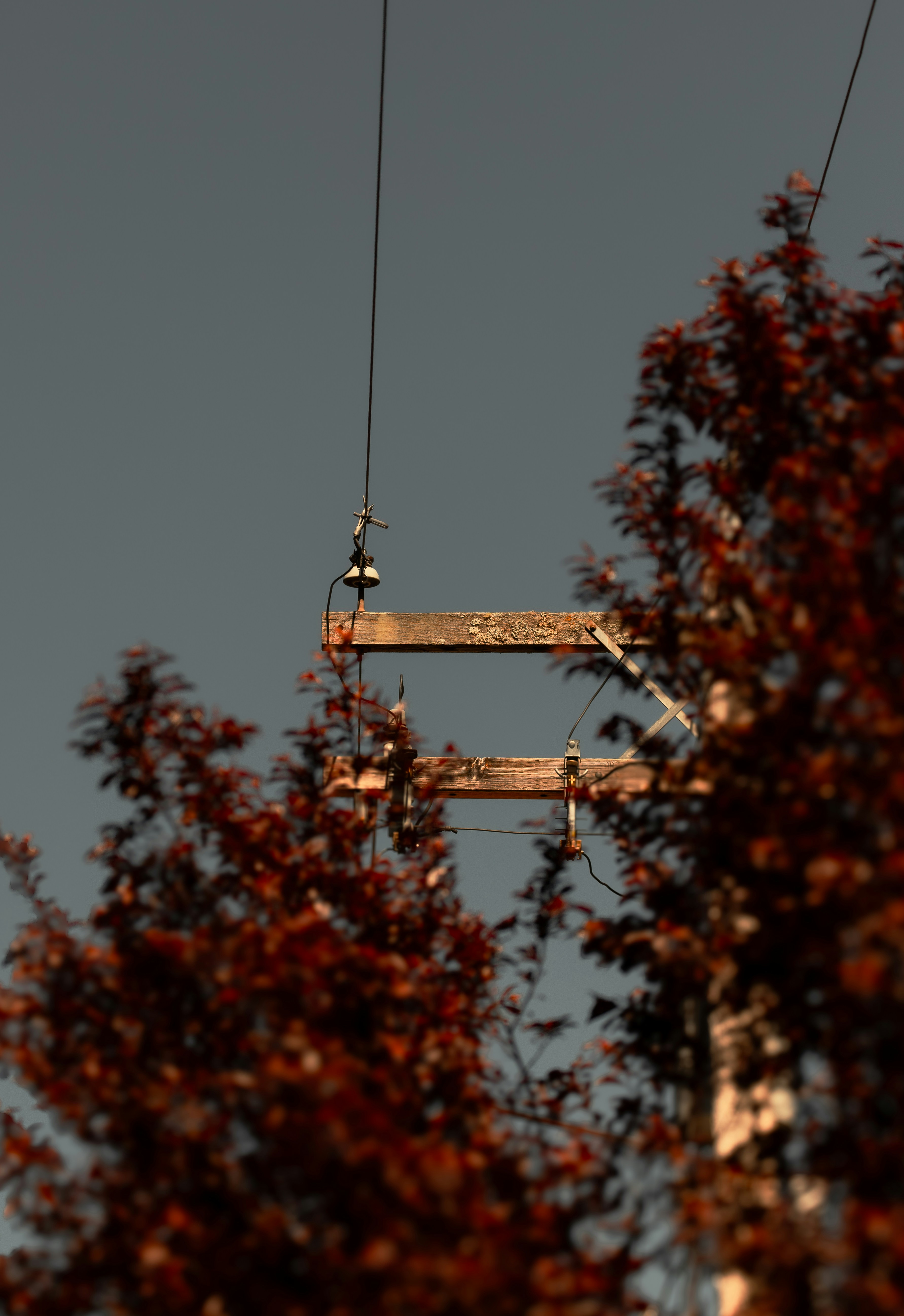 ein paar Holzschilder, die an einem Draht hingen