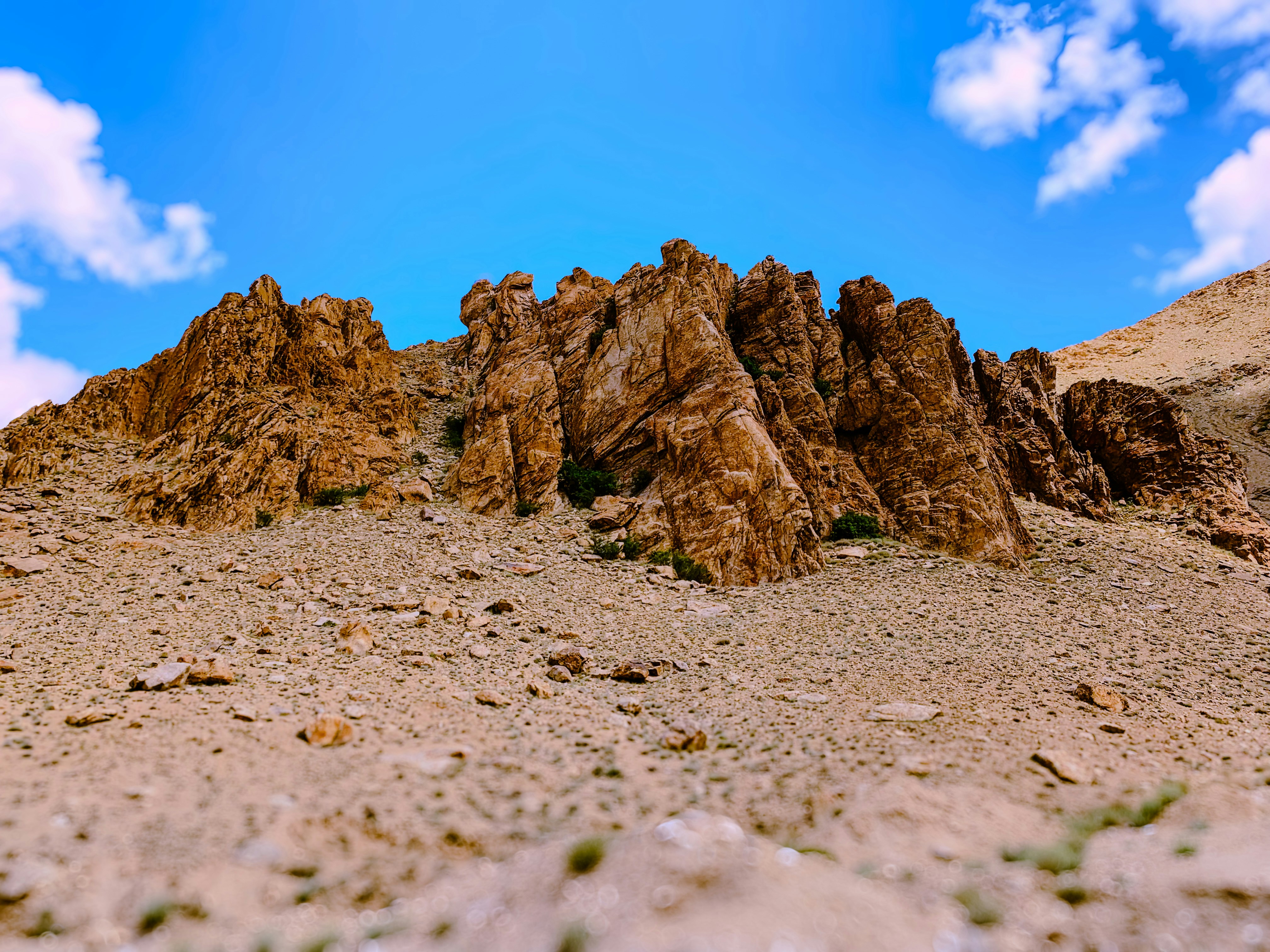 Photo by giriprasad06