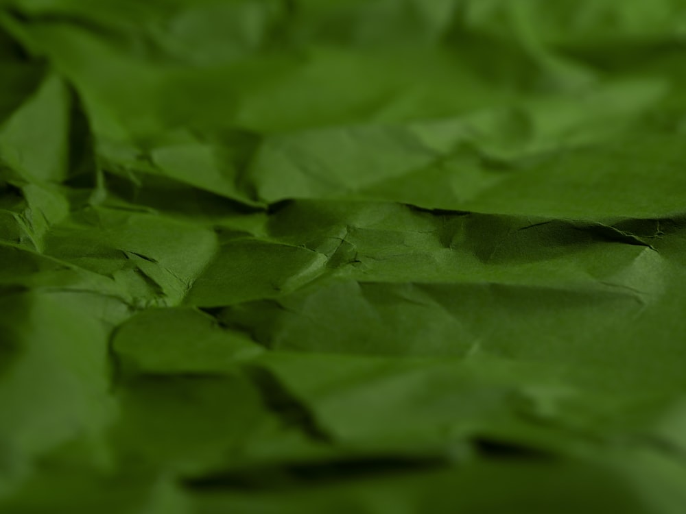 un manojo de hojas verdes que están sobre una mesa