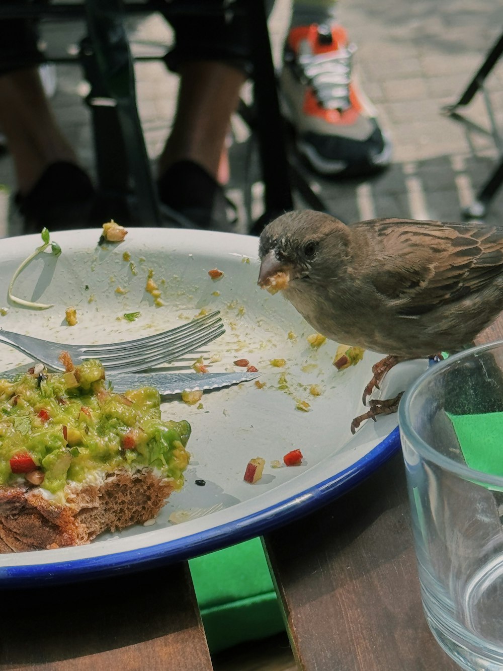 a bird eating food off of a plate on a table