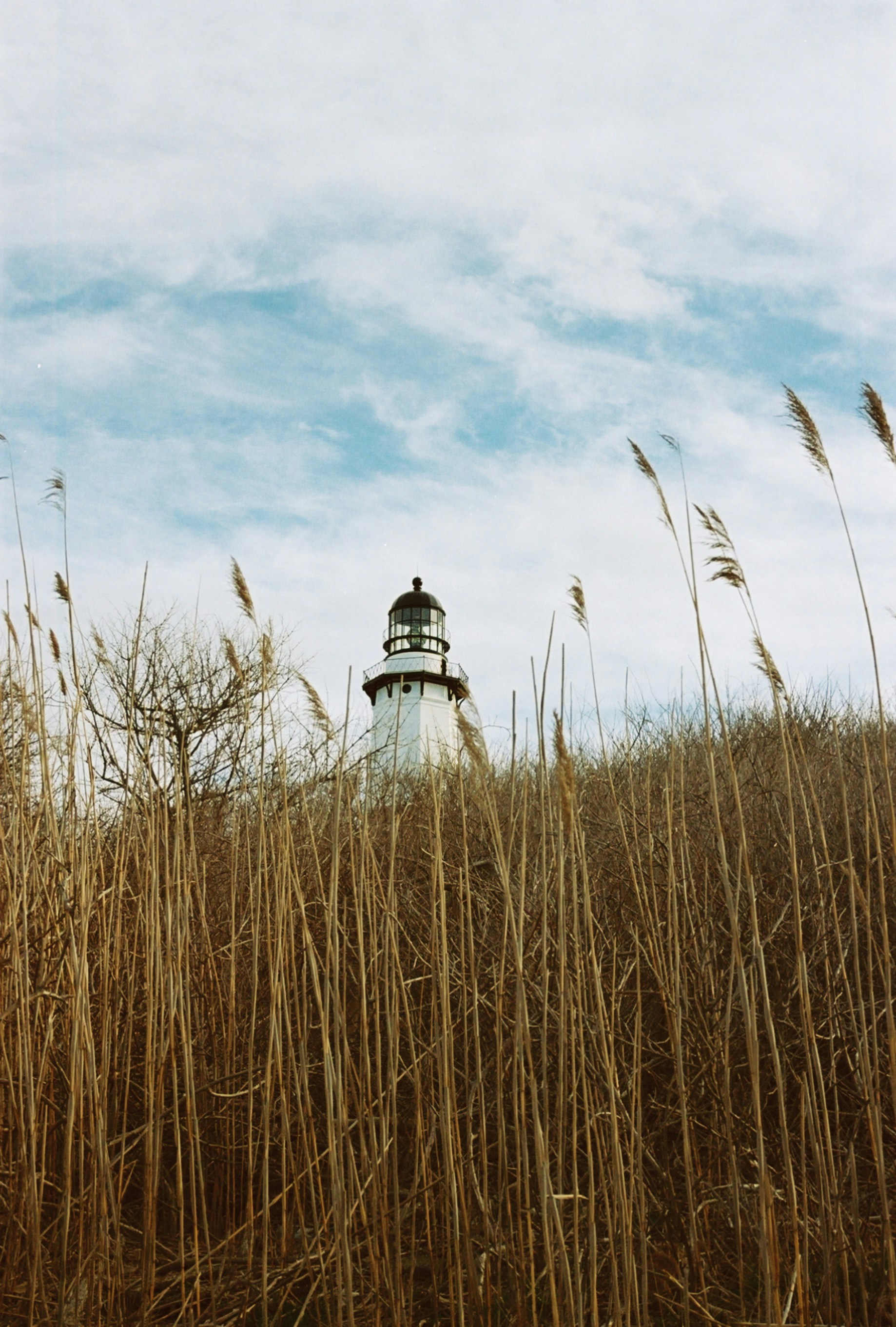 a lighthouse on top of a hill surrounded by tall grass