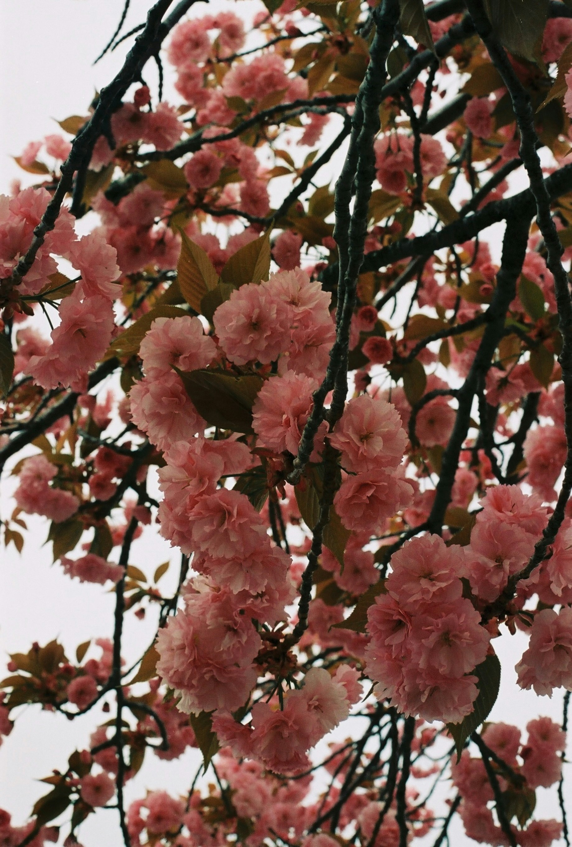 Photo by marthamonjaras