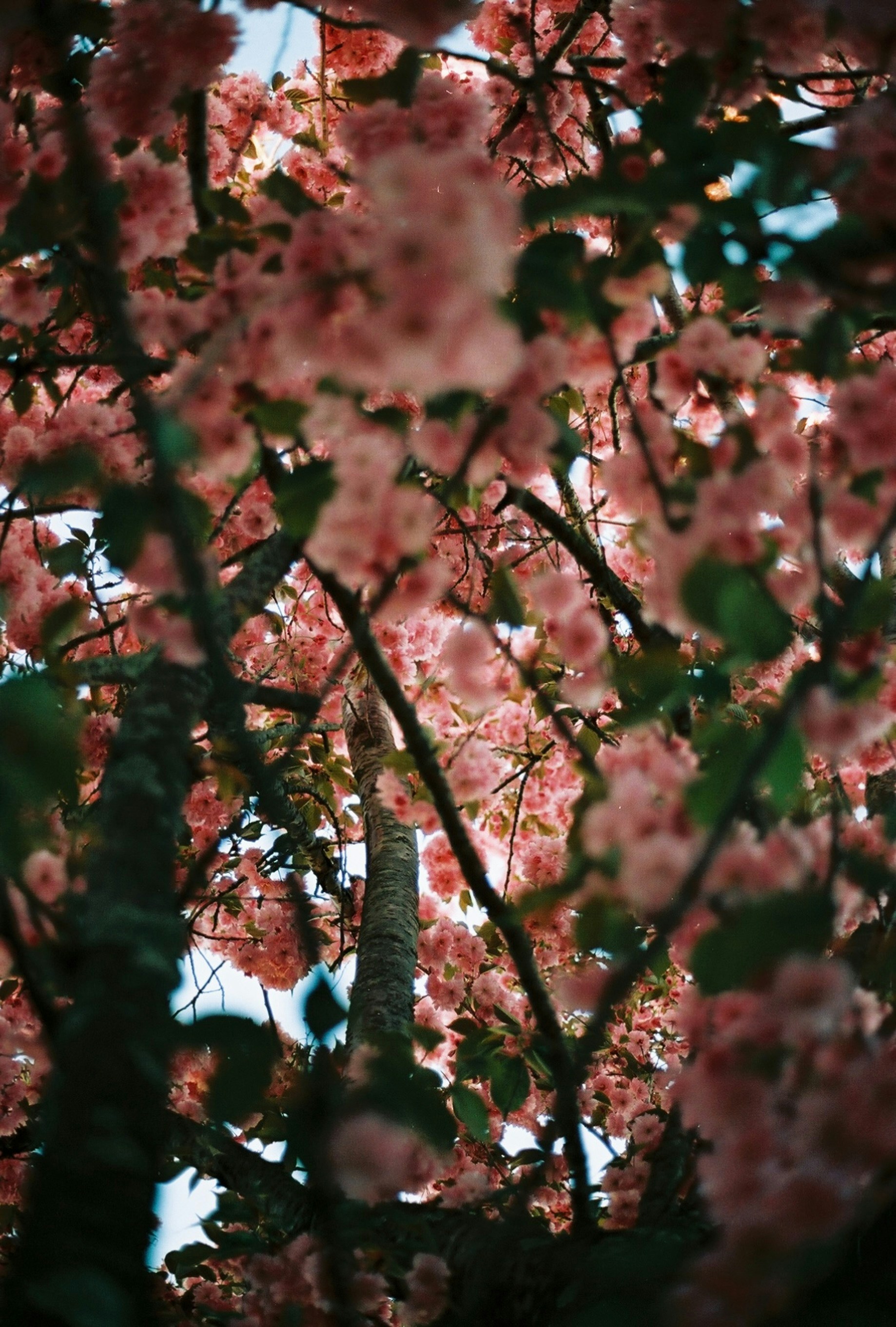 Photo by marthamonjaras