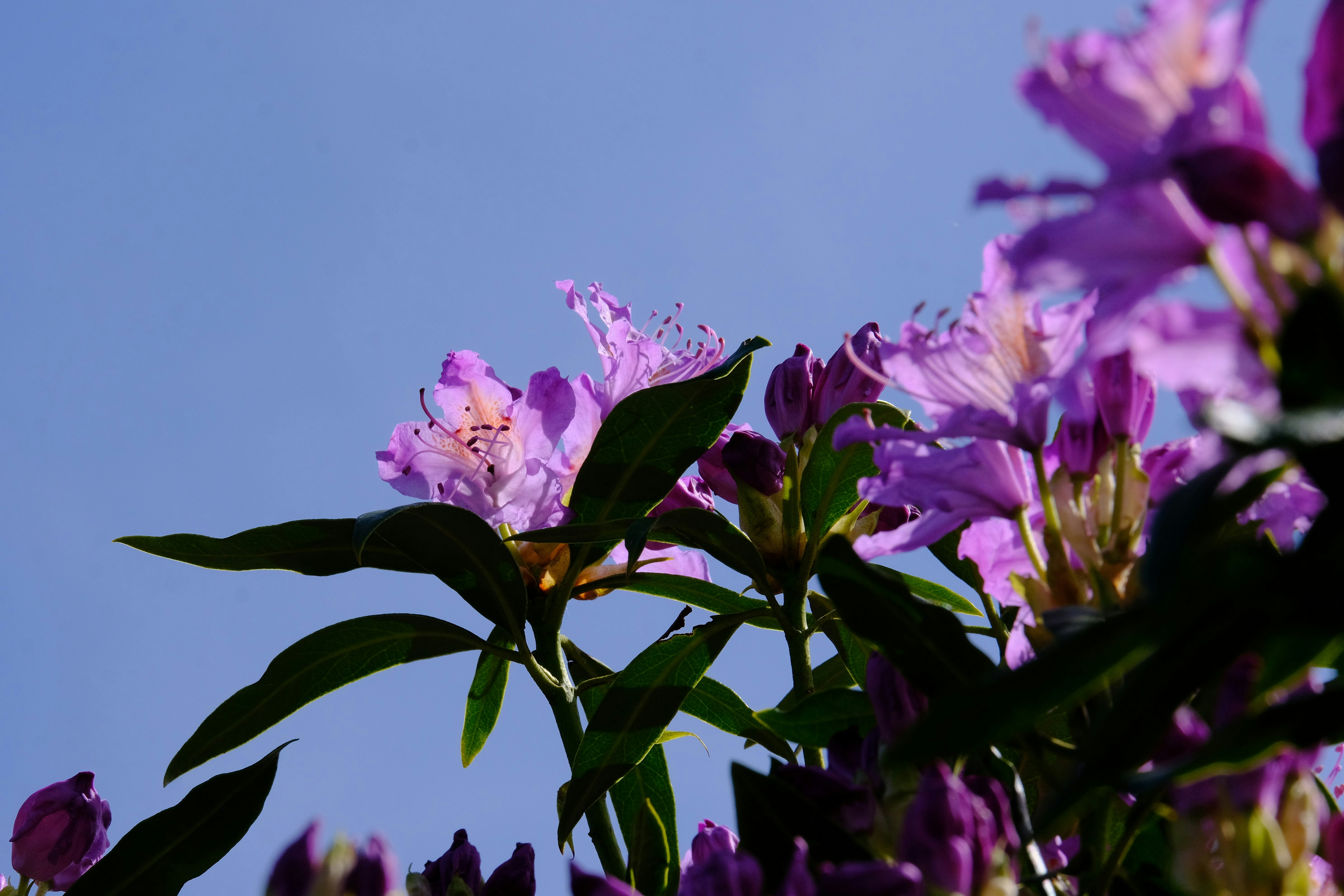 Photo by rory_tucker_photography