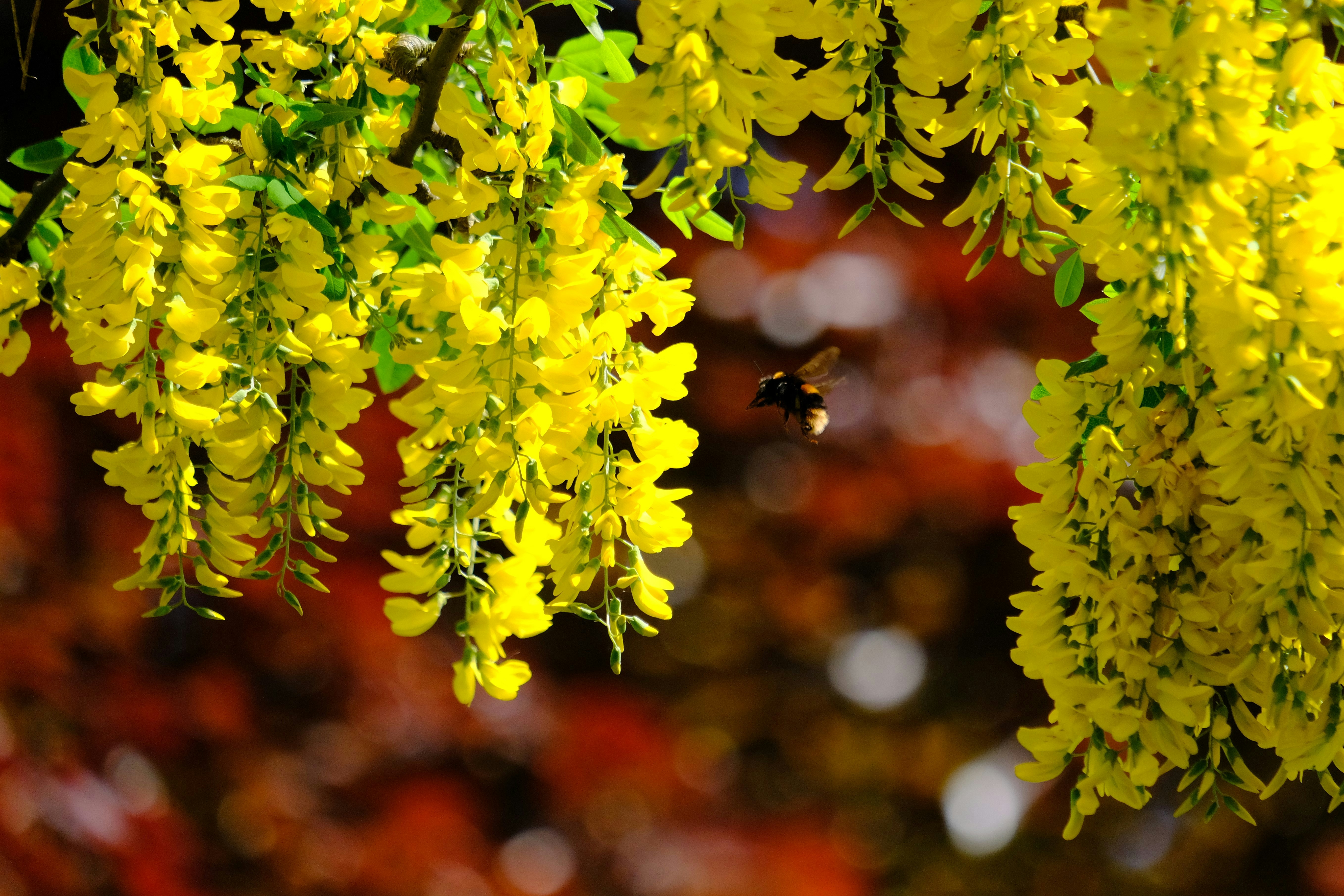 Photo by rory_tucker_photography