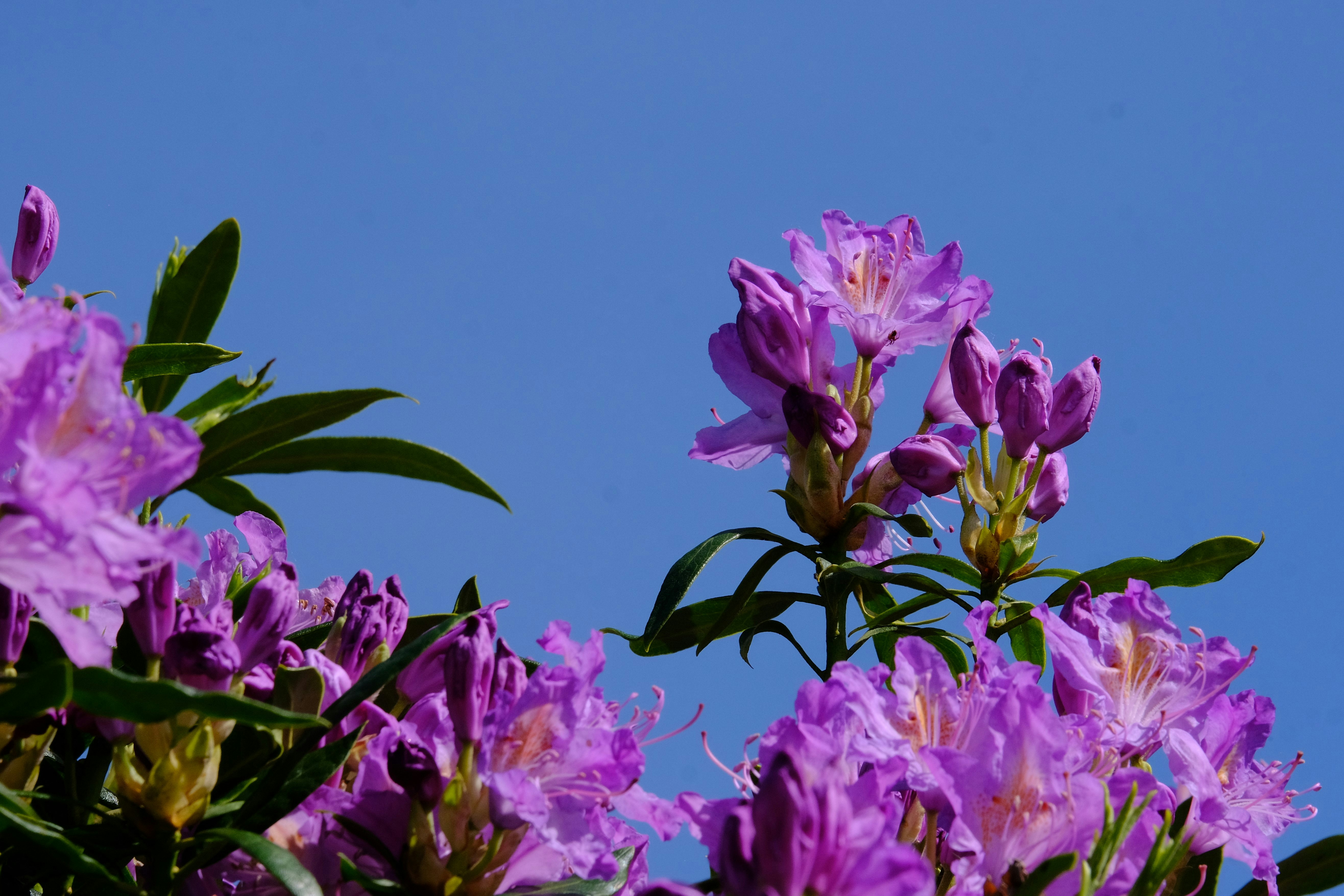 Photo by rory_tucker_photography