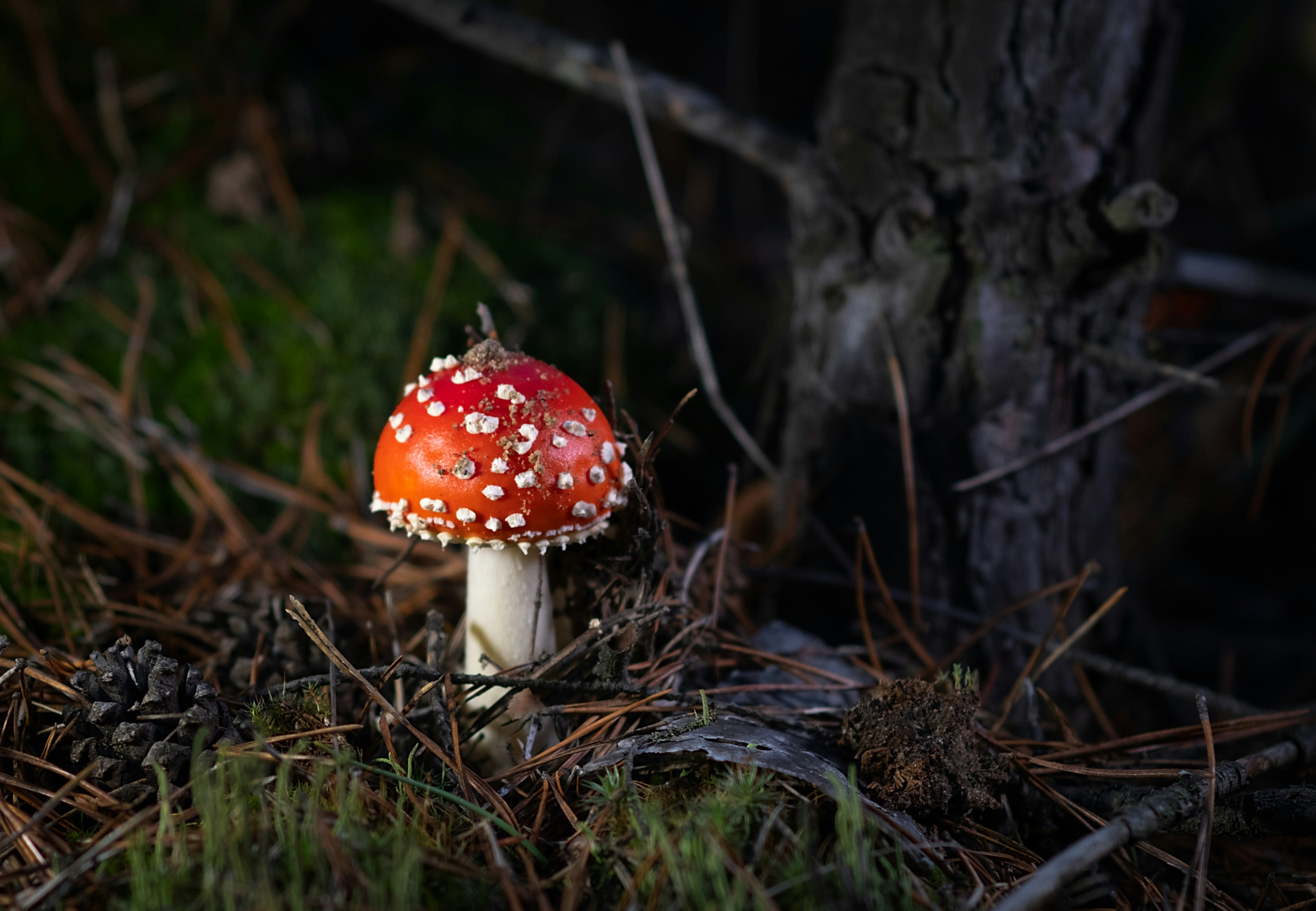 Photo by sevencolors