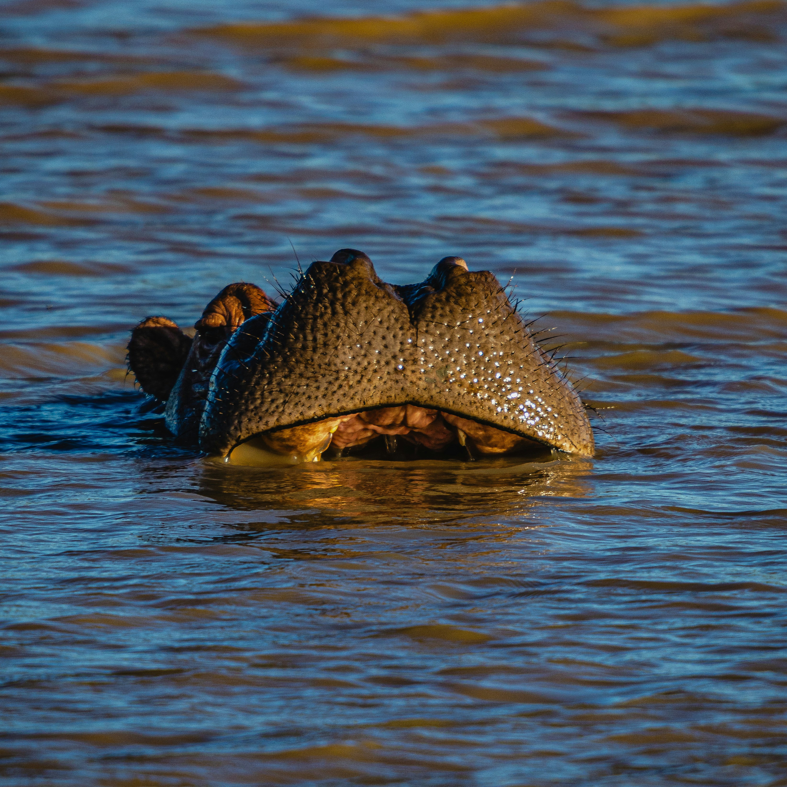 Photo by starkie_pics