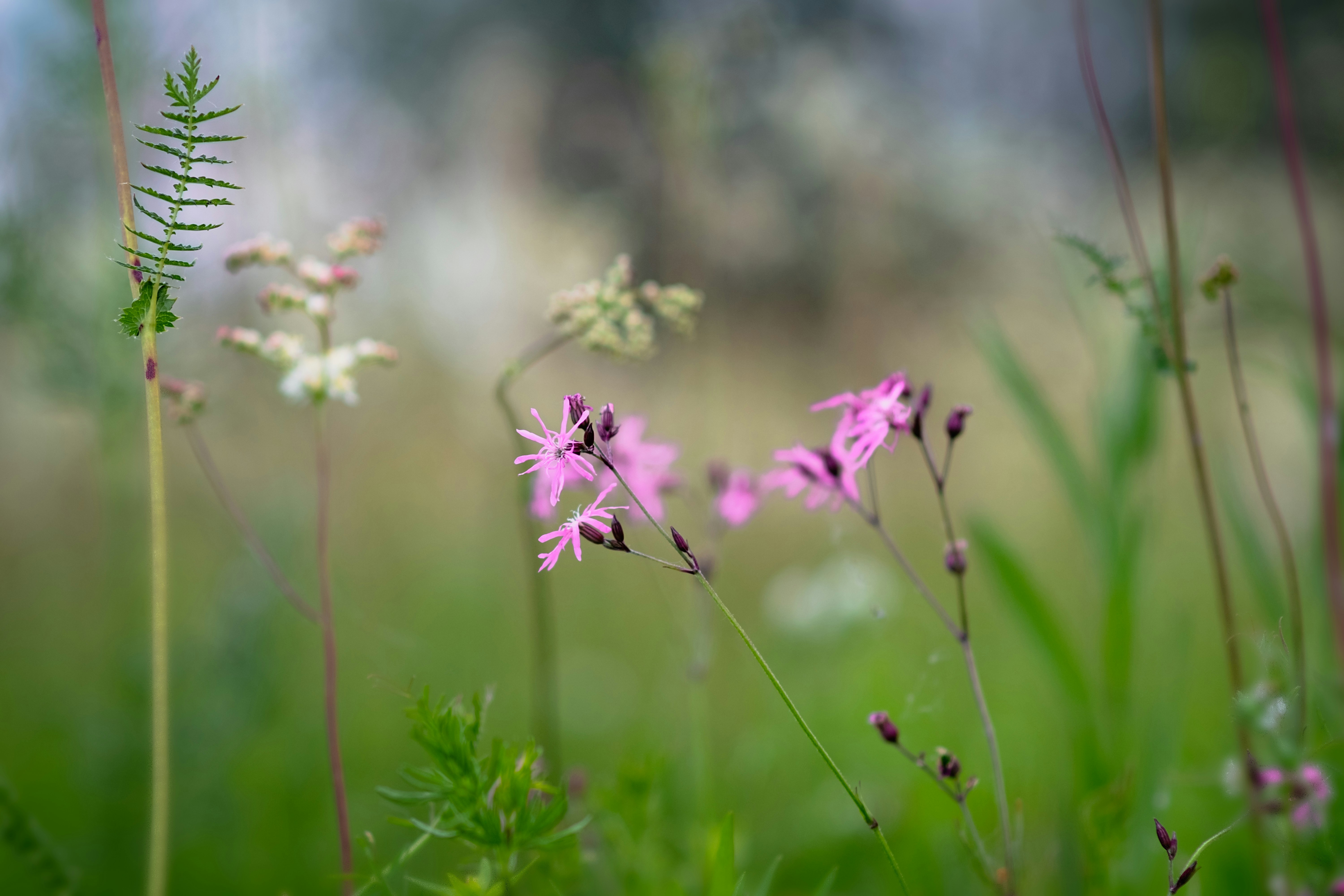 Photo by sevencolors