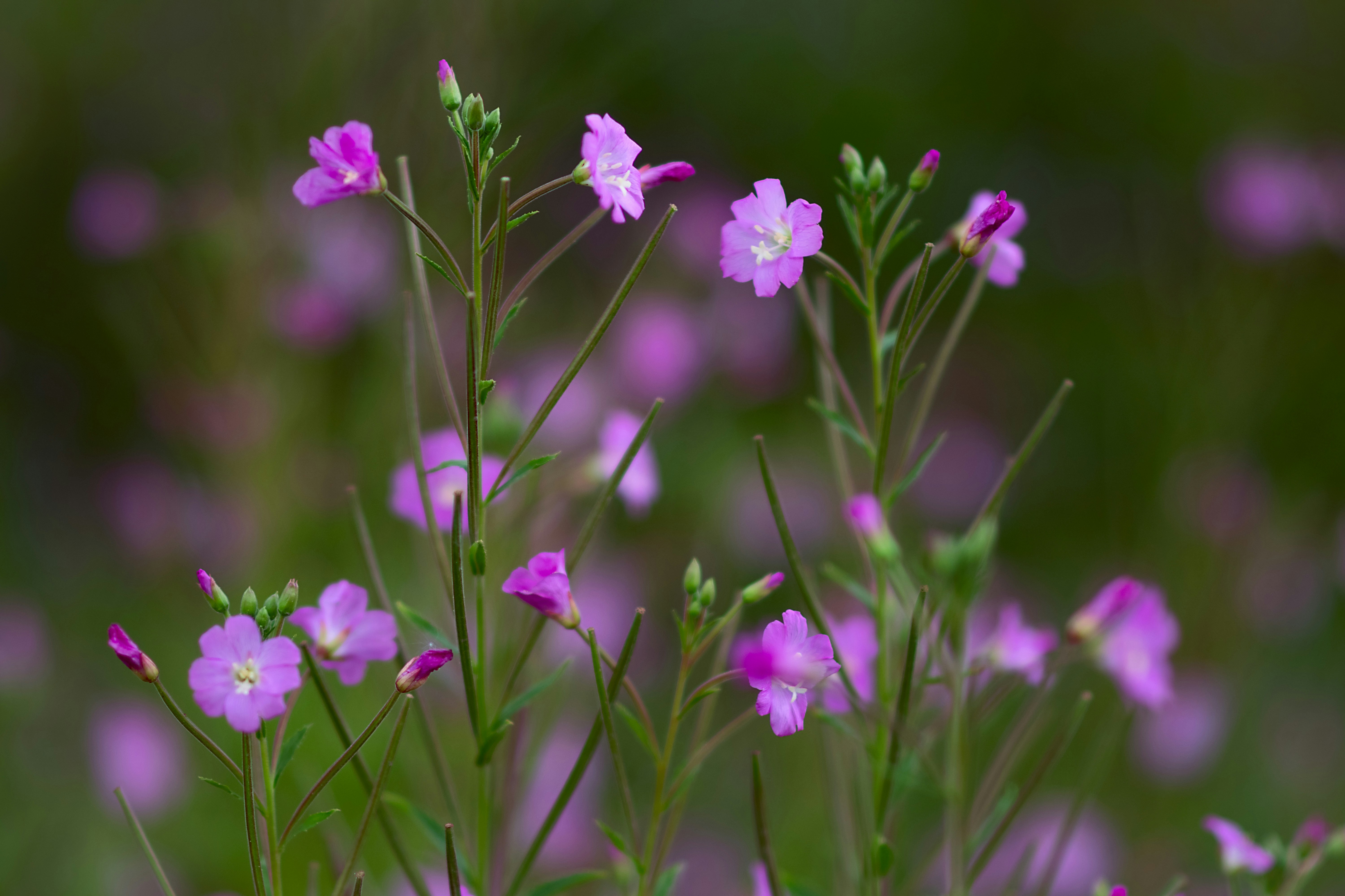 Photo by sevencolors