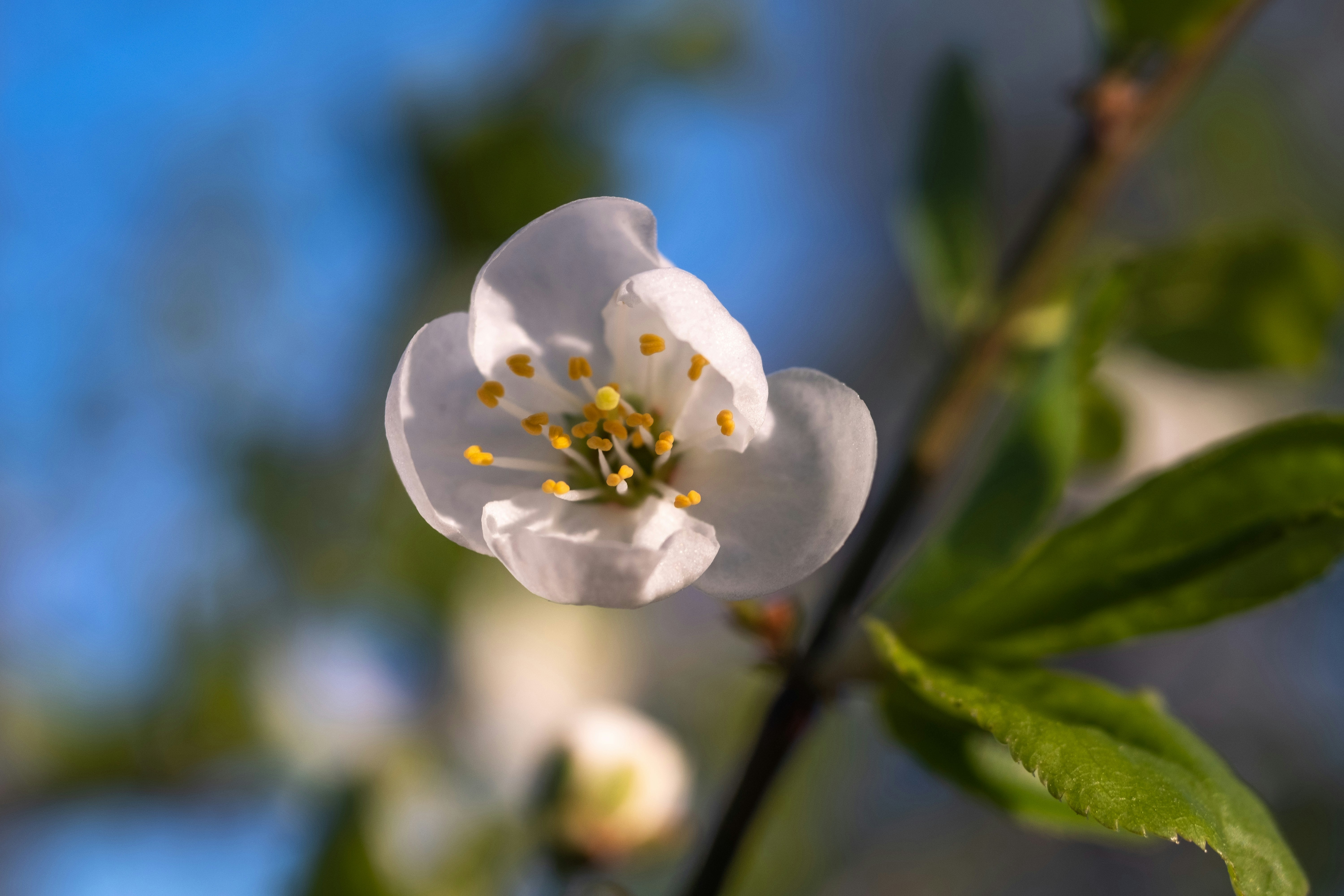 Photo by sevencolors