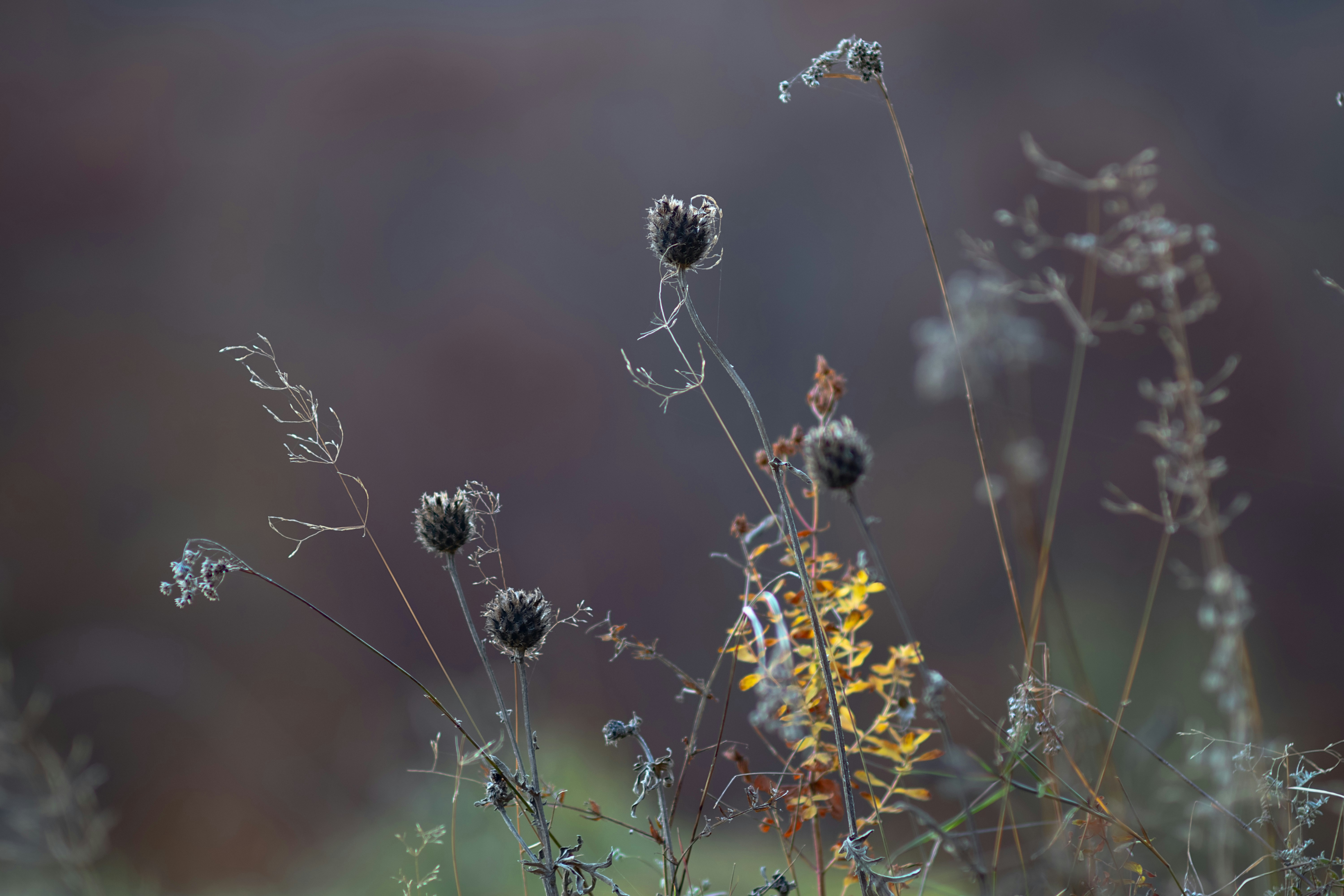 Photo by sevencolors