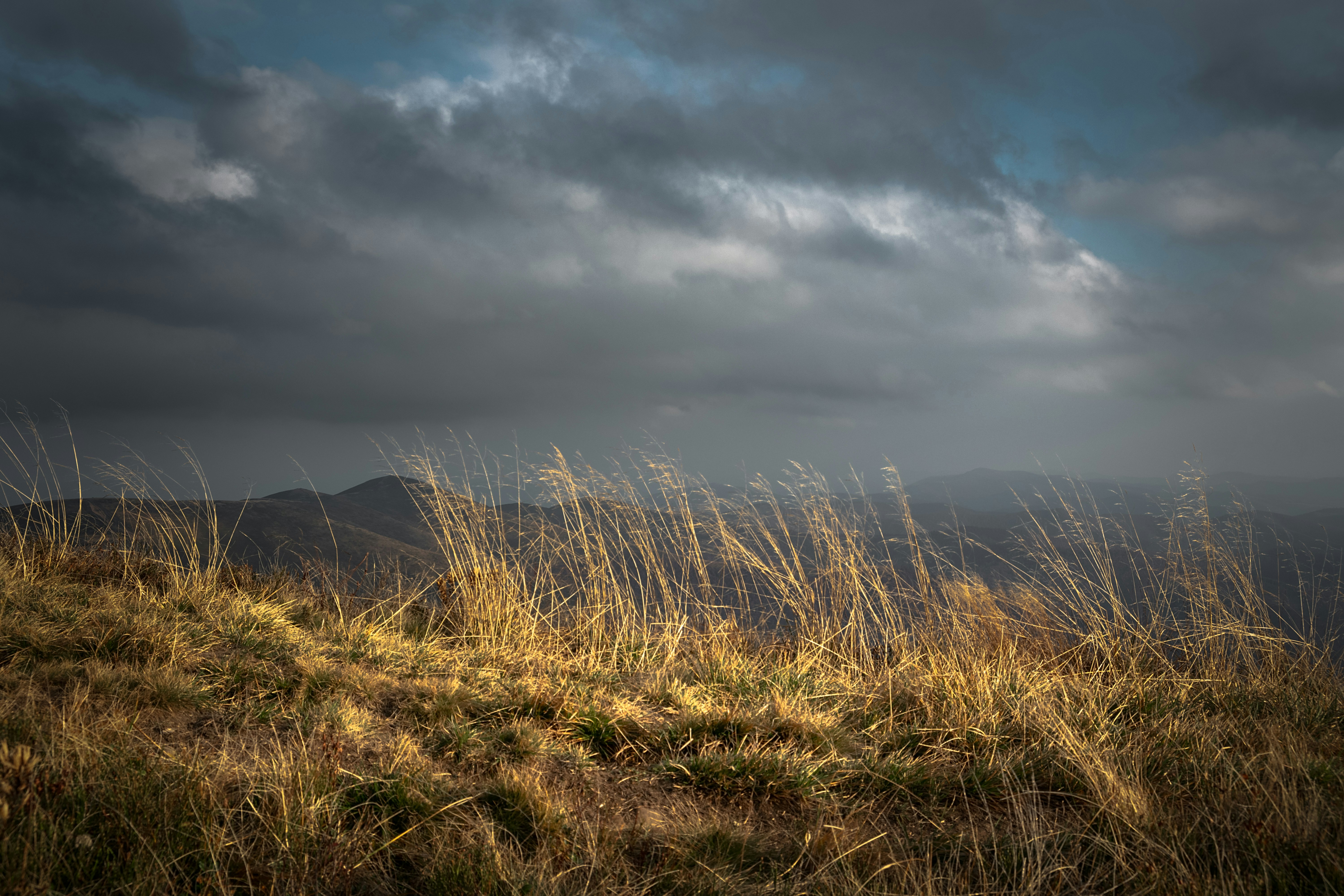 Photo by sevencolors