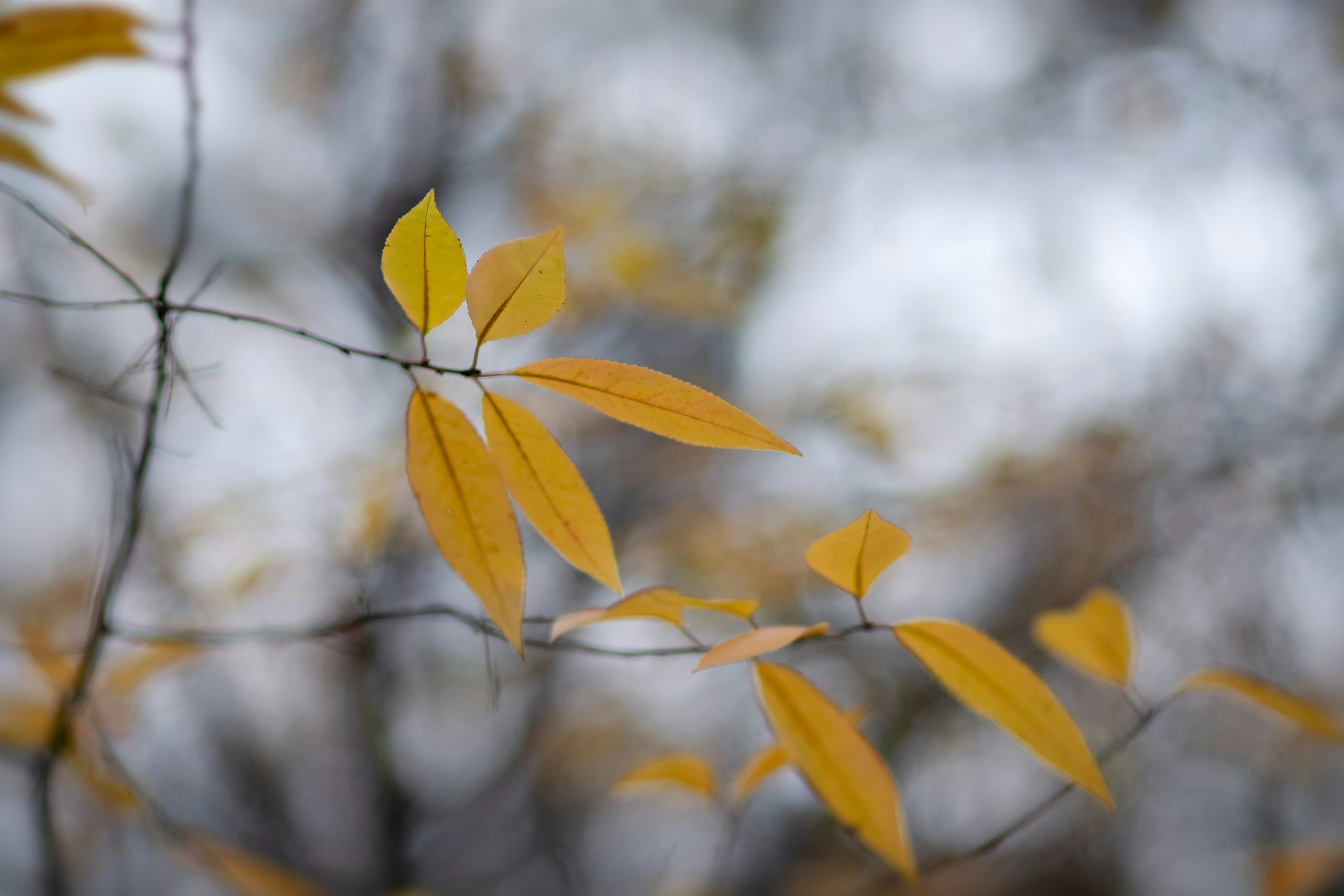 Photo by sevencolors